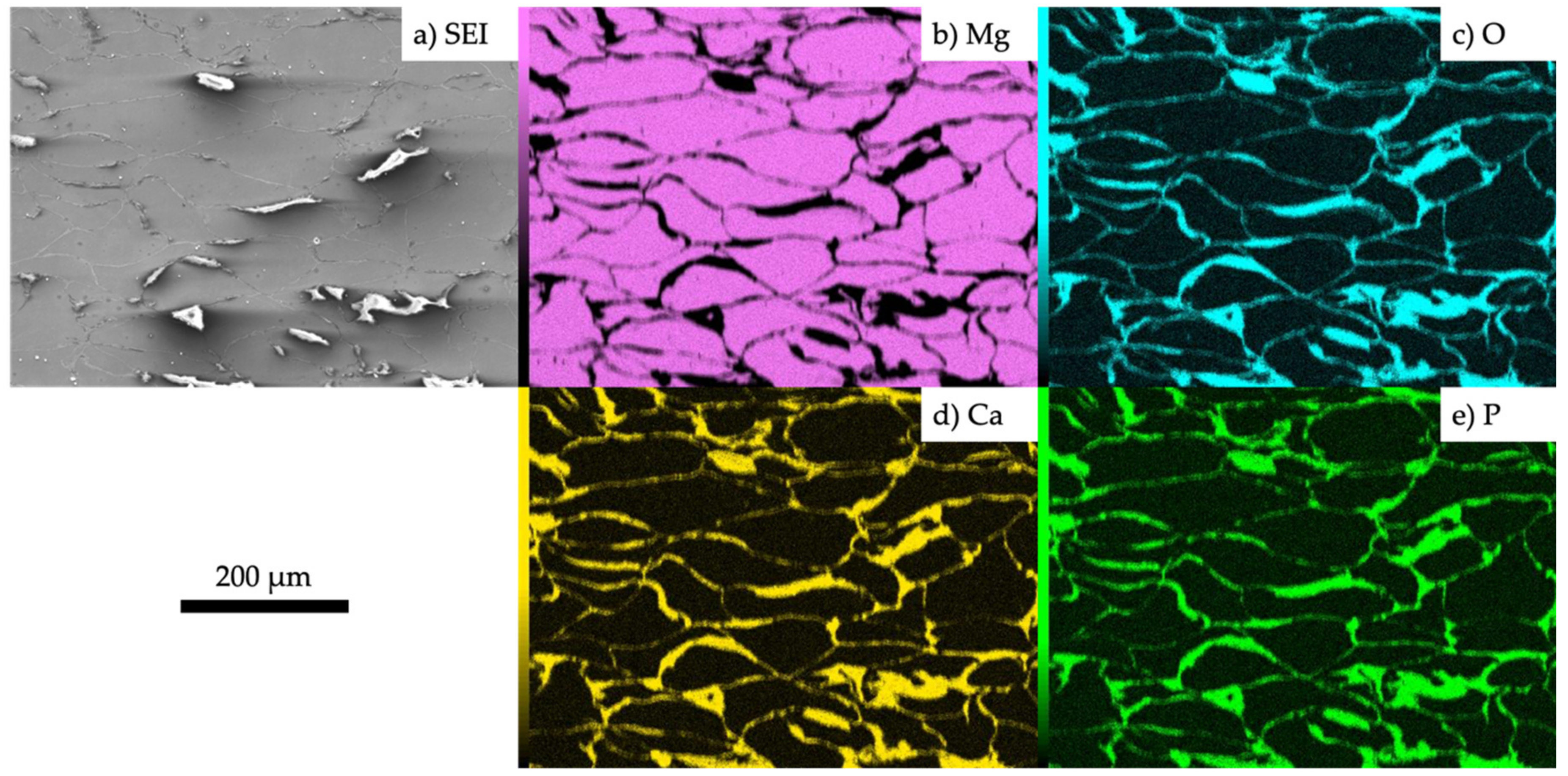 Metals 10 01314 g005