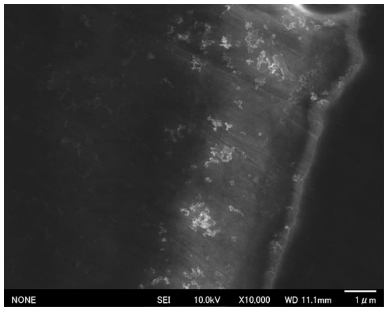 Metals 10 01314 g006