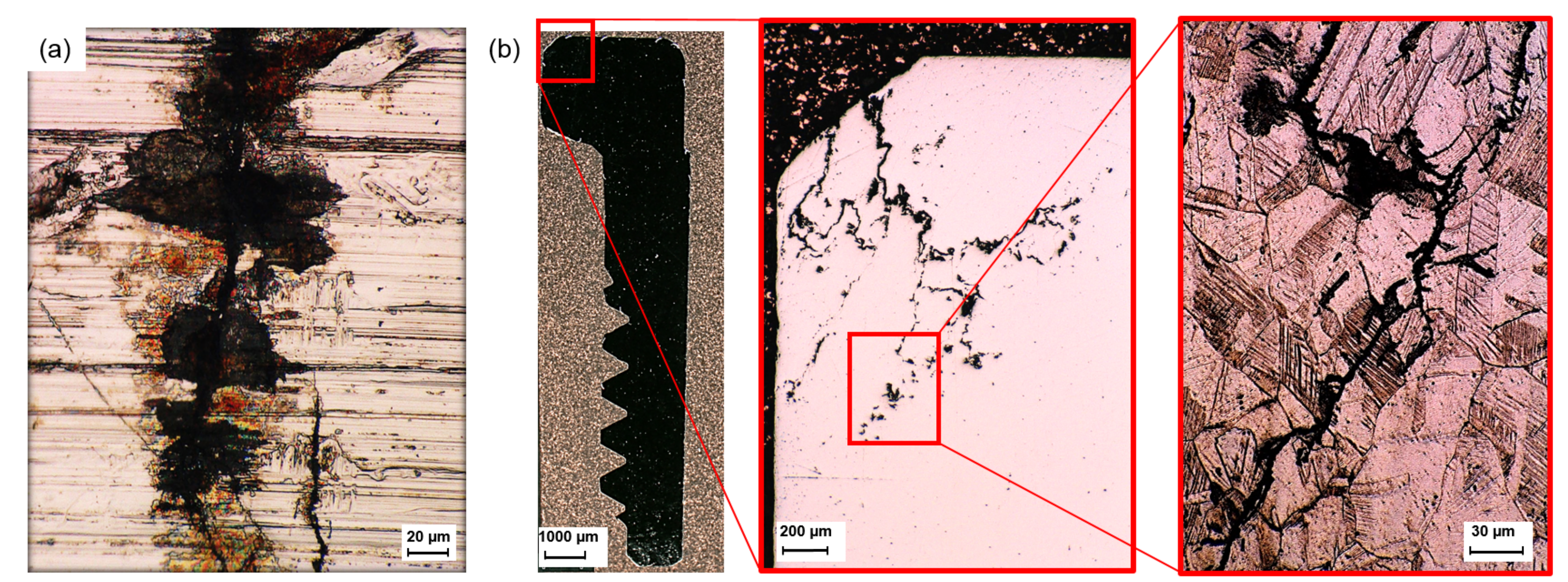 Metals 10 01324 g004