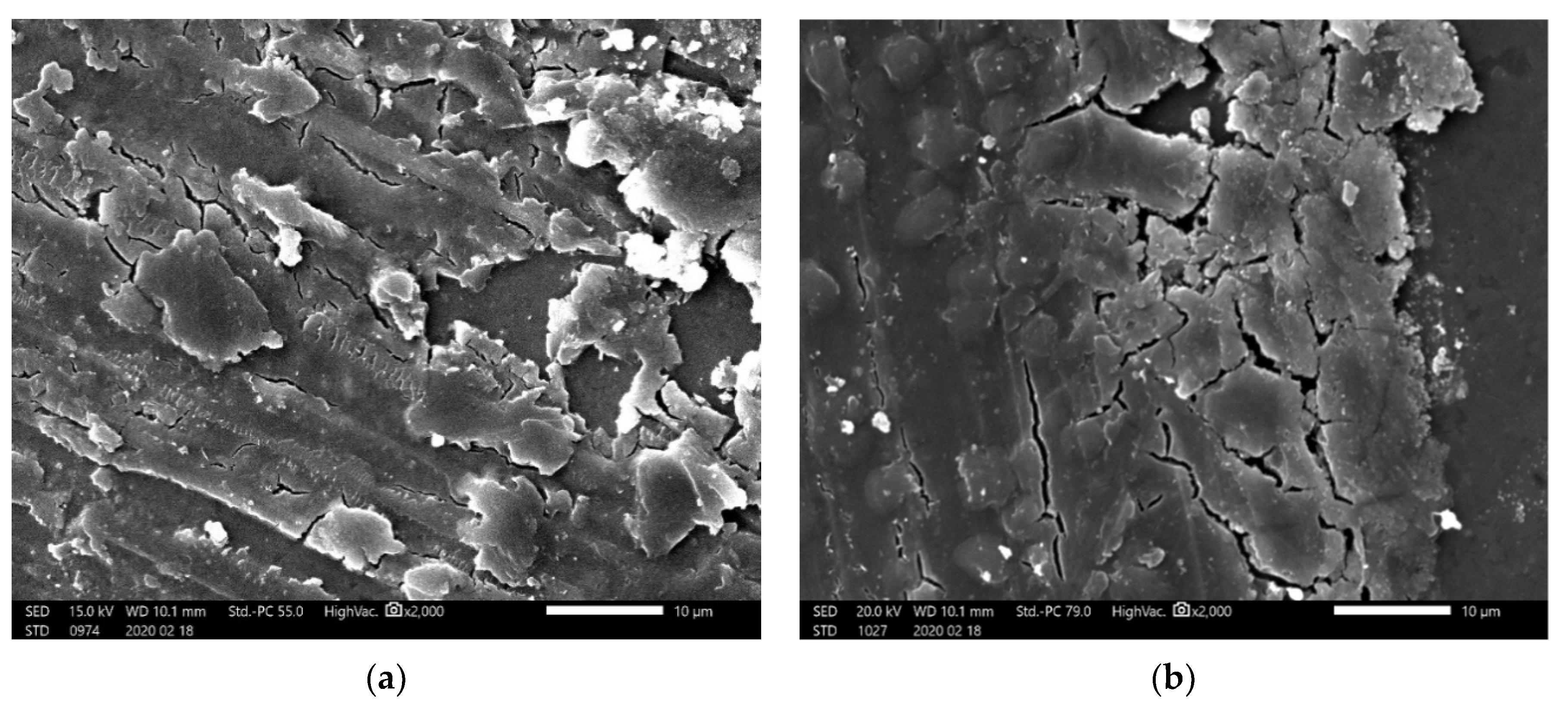 Metals 10 01337 g008