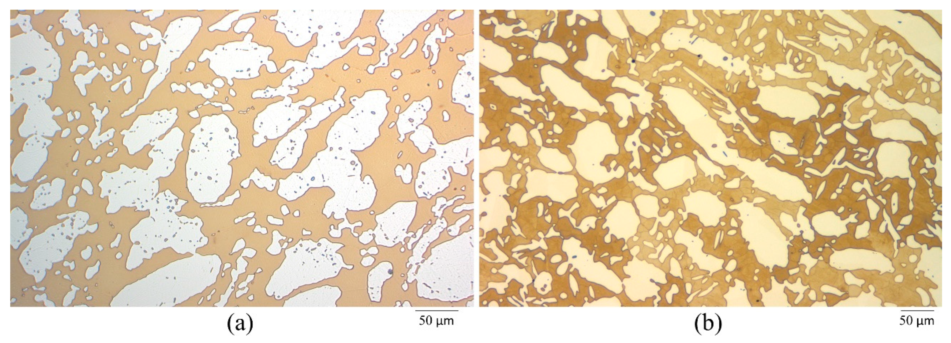 Metals 10 01364 g001