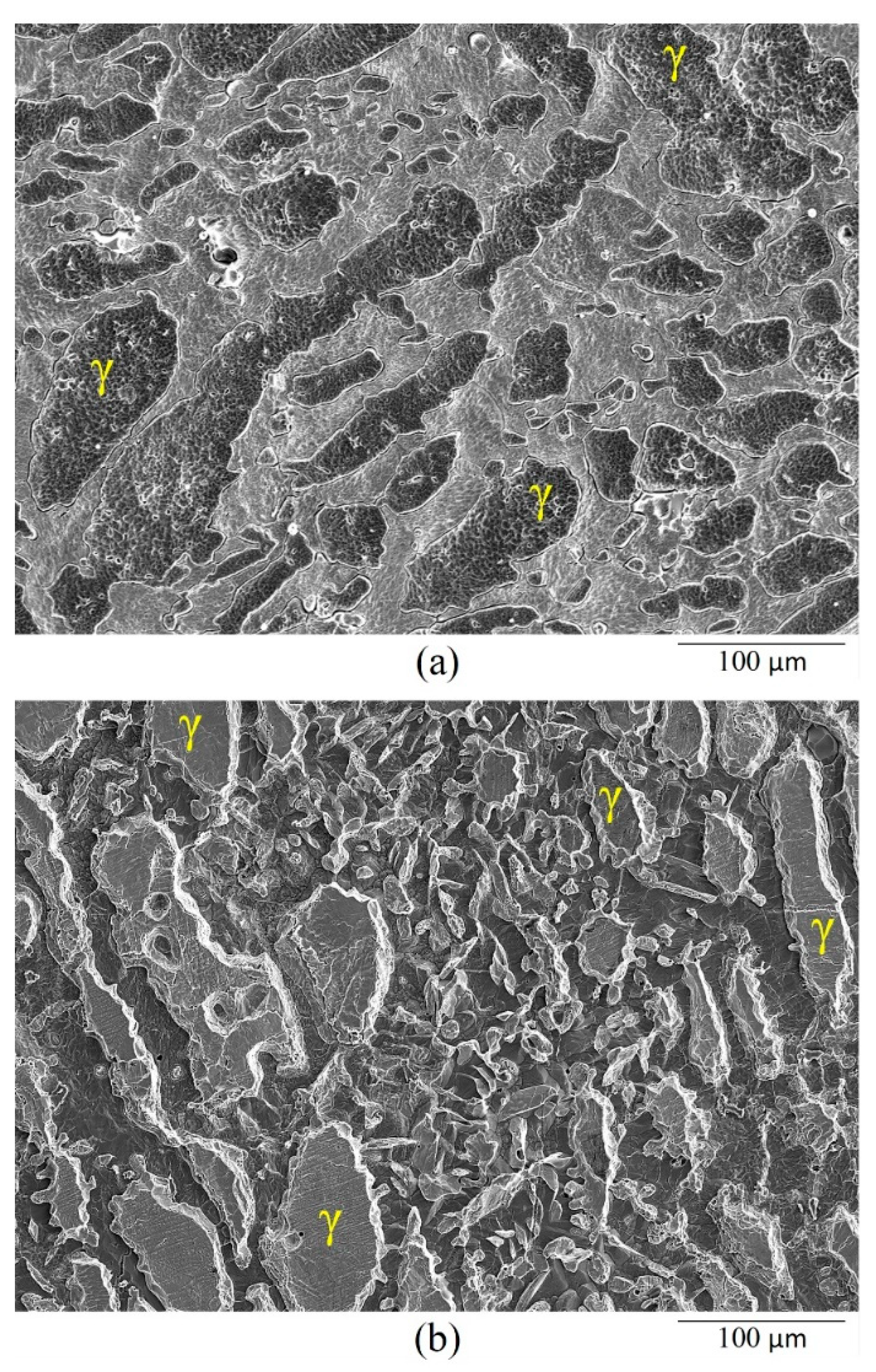 Metals 10 01364 g007