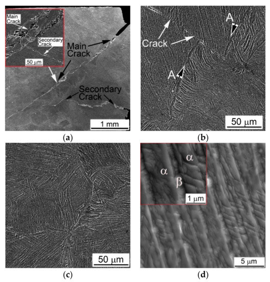 Metals Special Issue Titanium Alloys and TitaniumBased Matrix