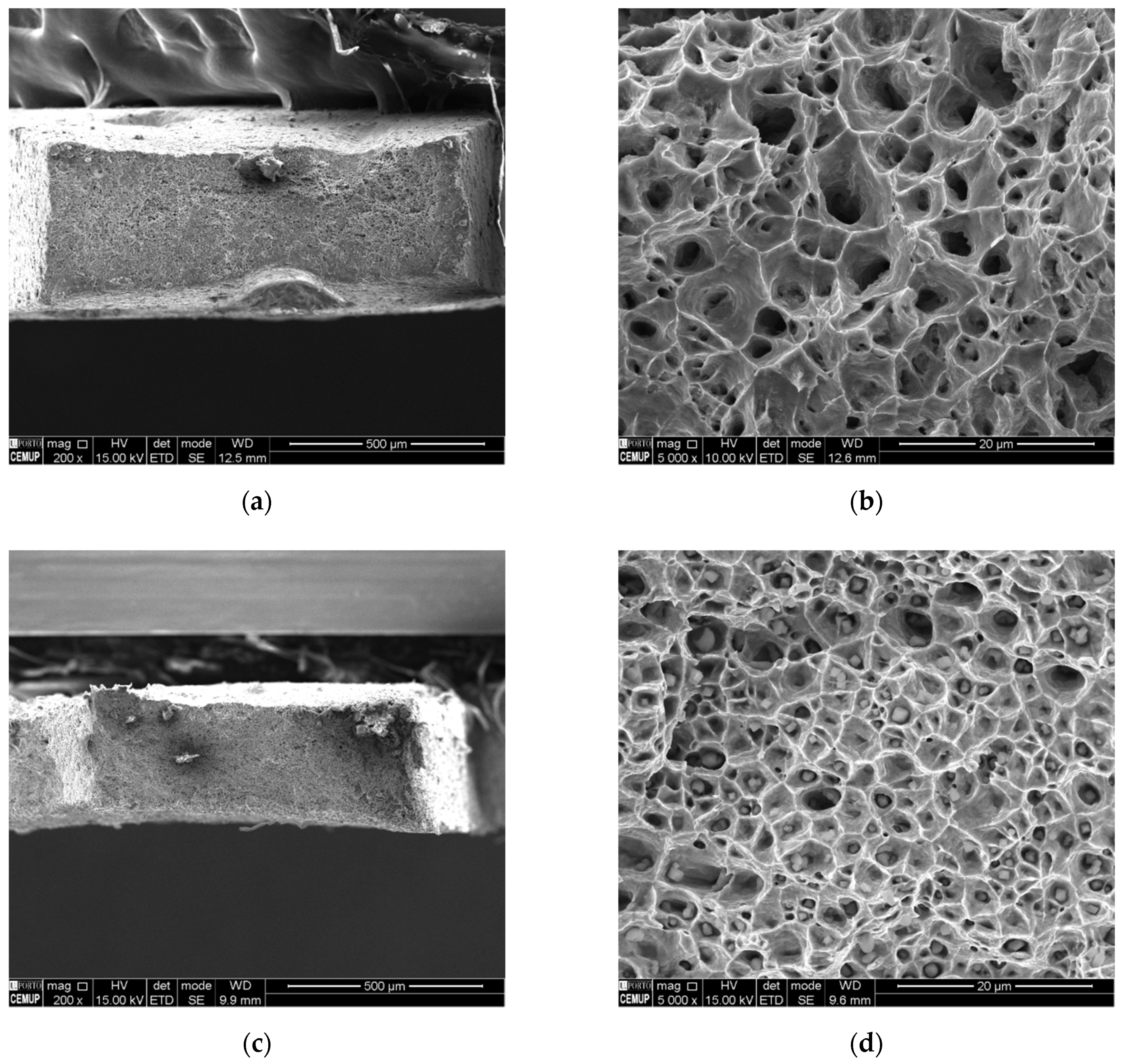 Metals 10 01416 g008