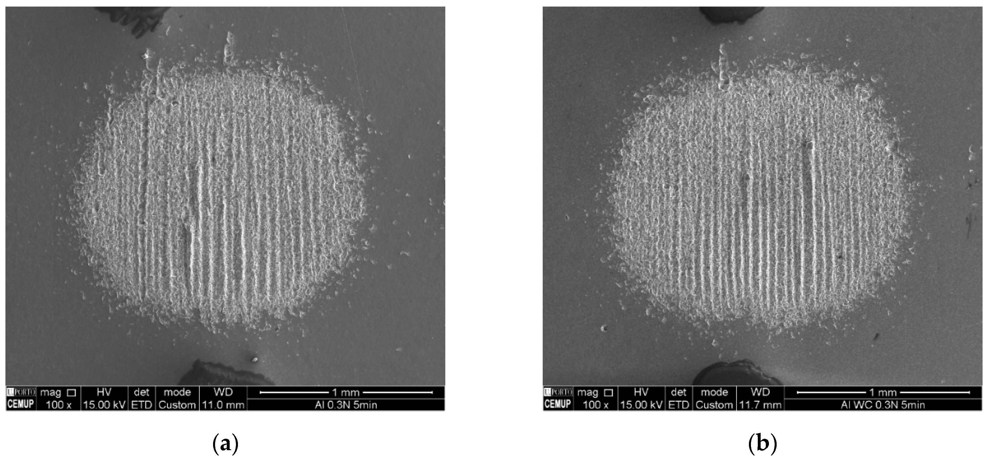 Metals 10 01416 g010