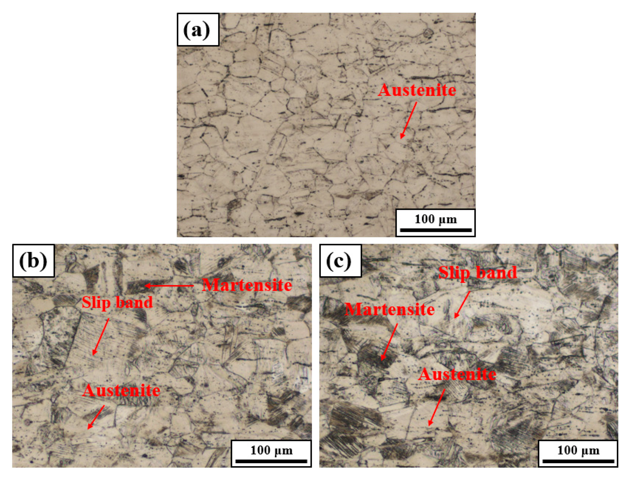 Metals 10 01427 g008