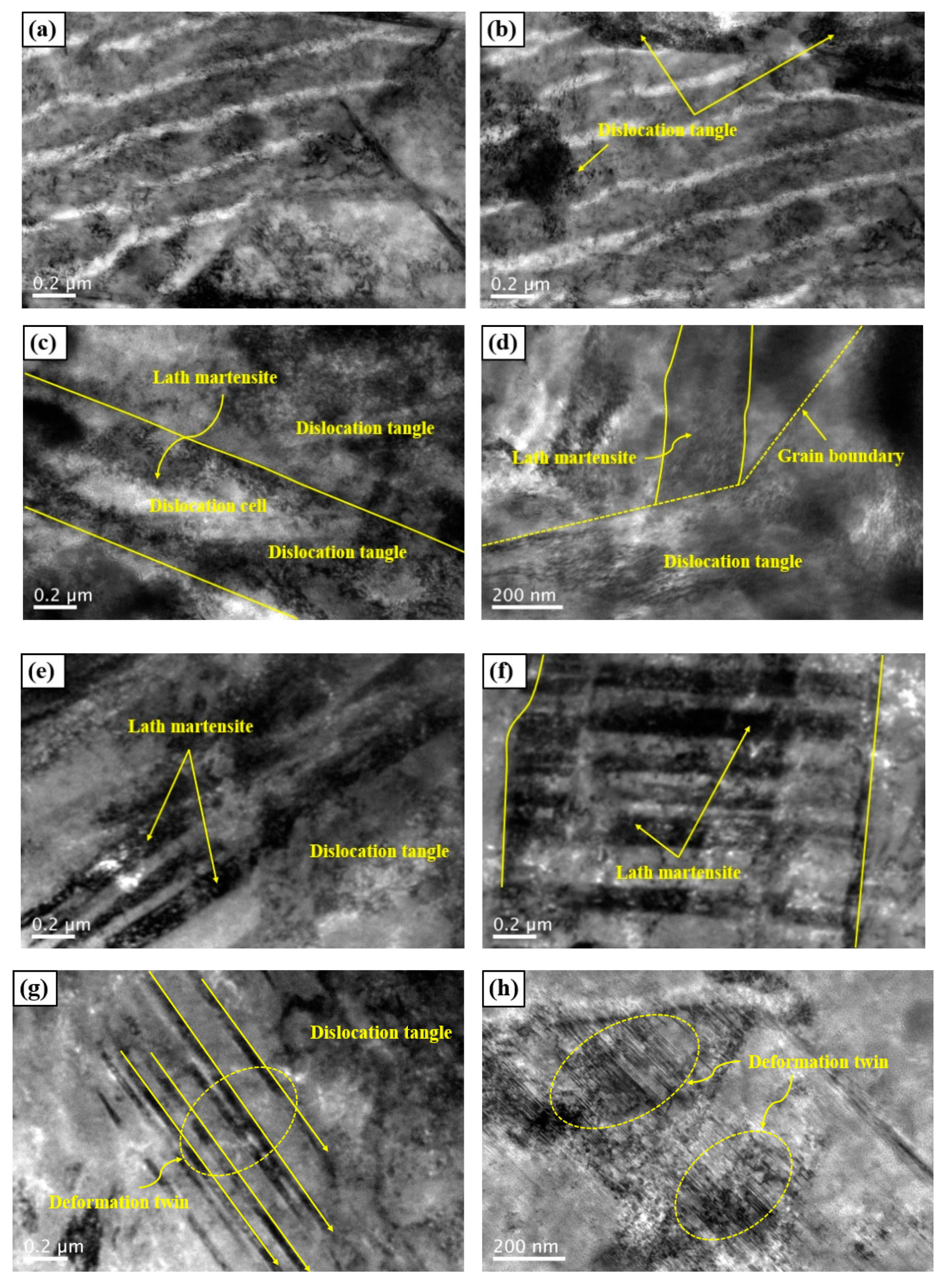 Metals 10 01427 g009a