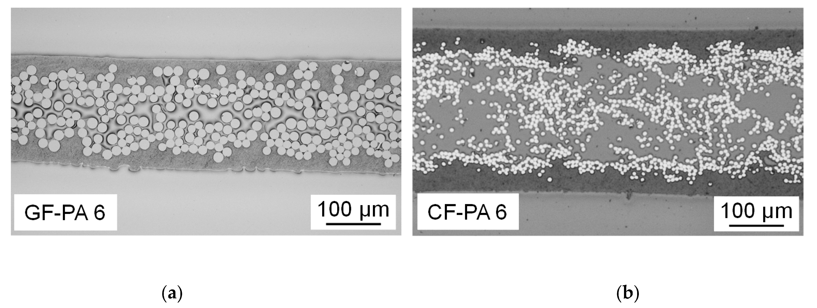 Metals 10 01430 g002