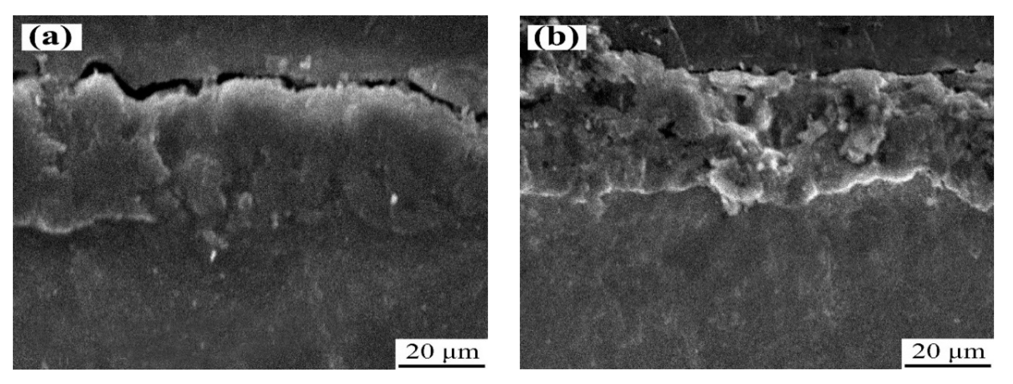 Metals 10 01452 g006