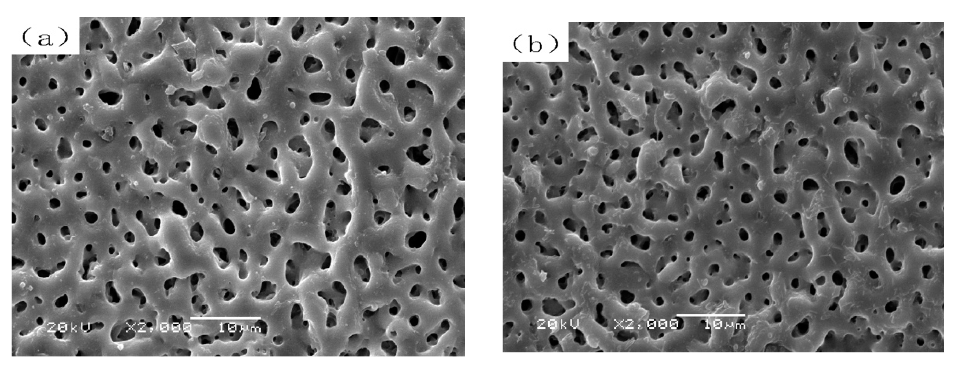 Metals 10 01452 g009