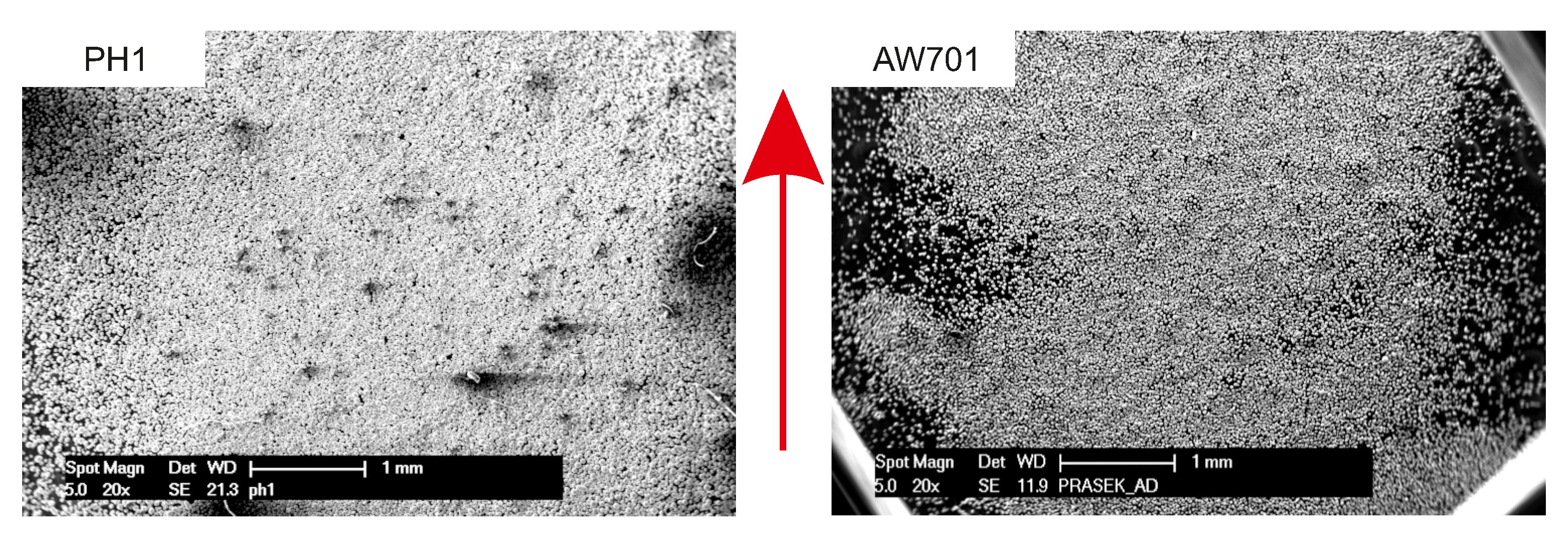 Metals 10 01477 g004 Metals 10 01477 g004