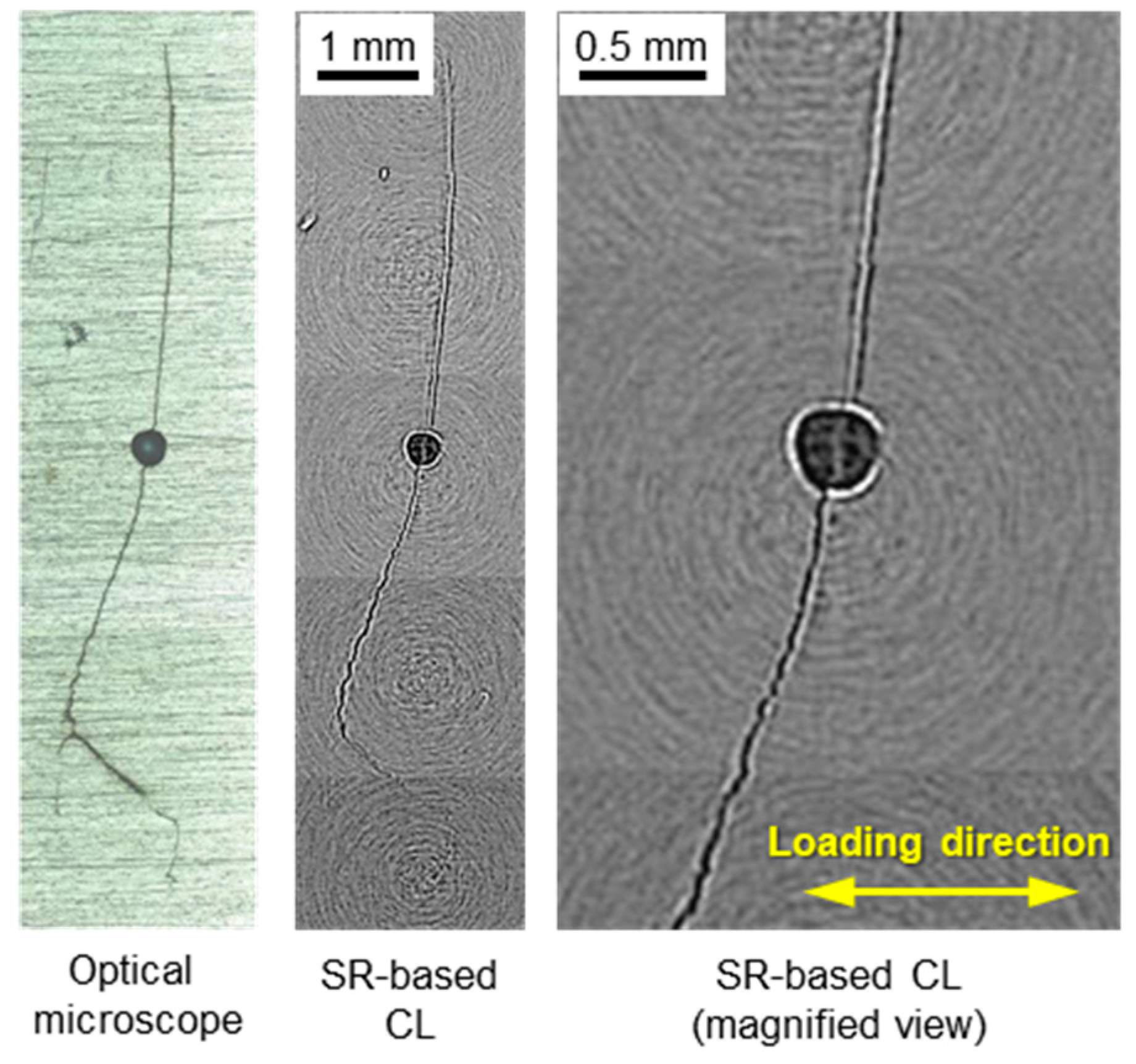 Metals 10 01490 g012