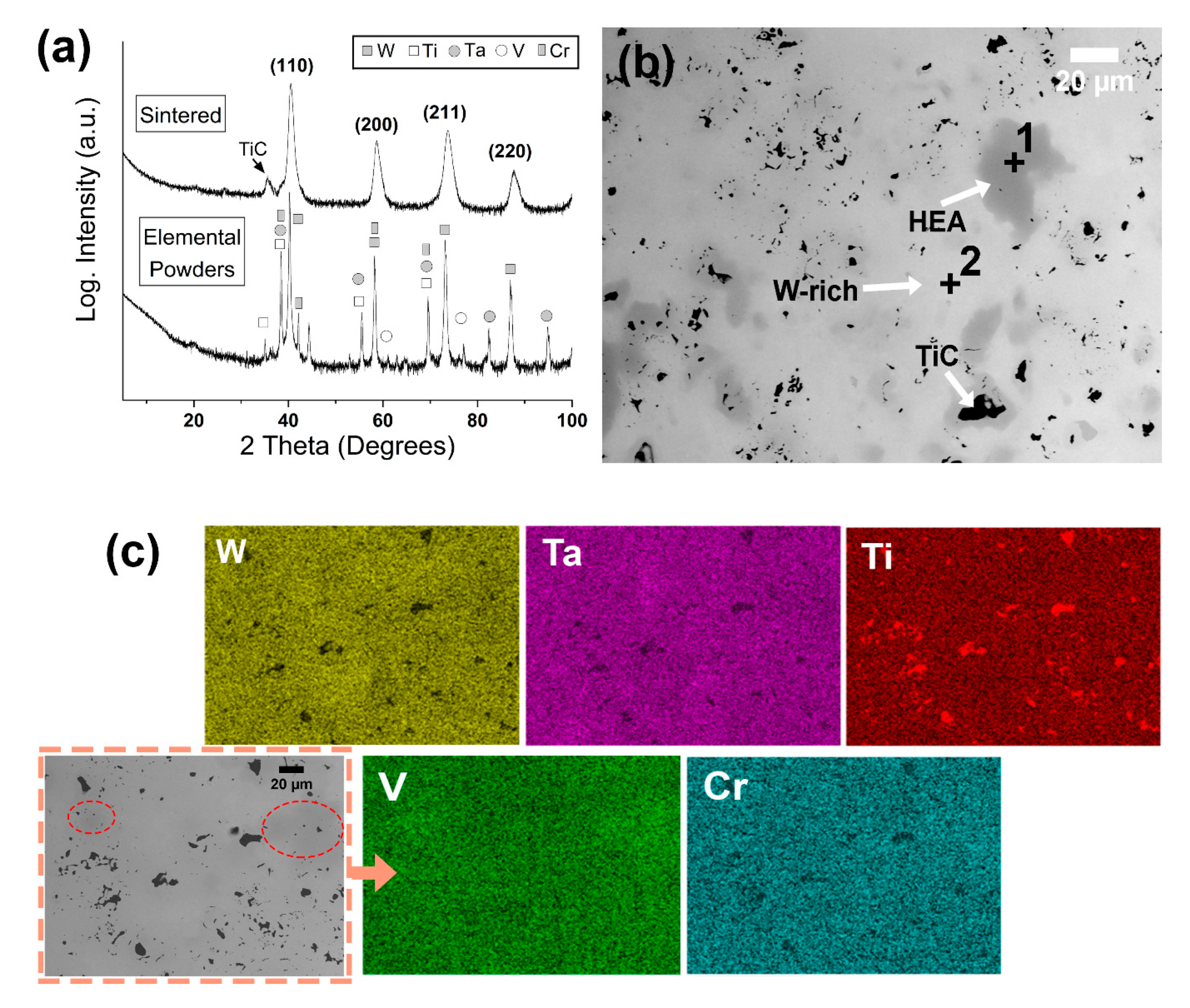 Metals 10 01512 g001