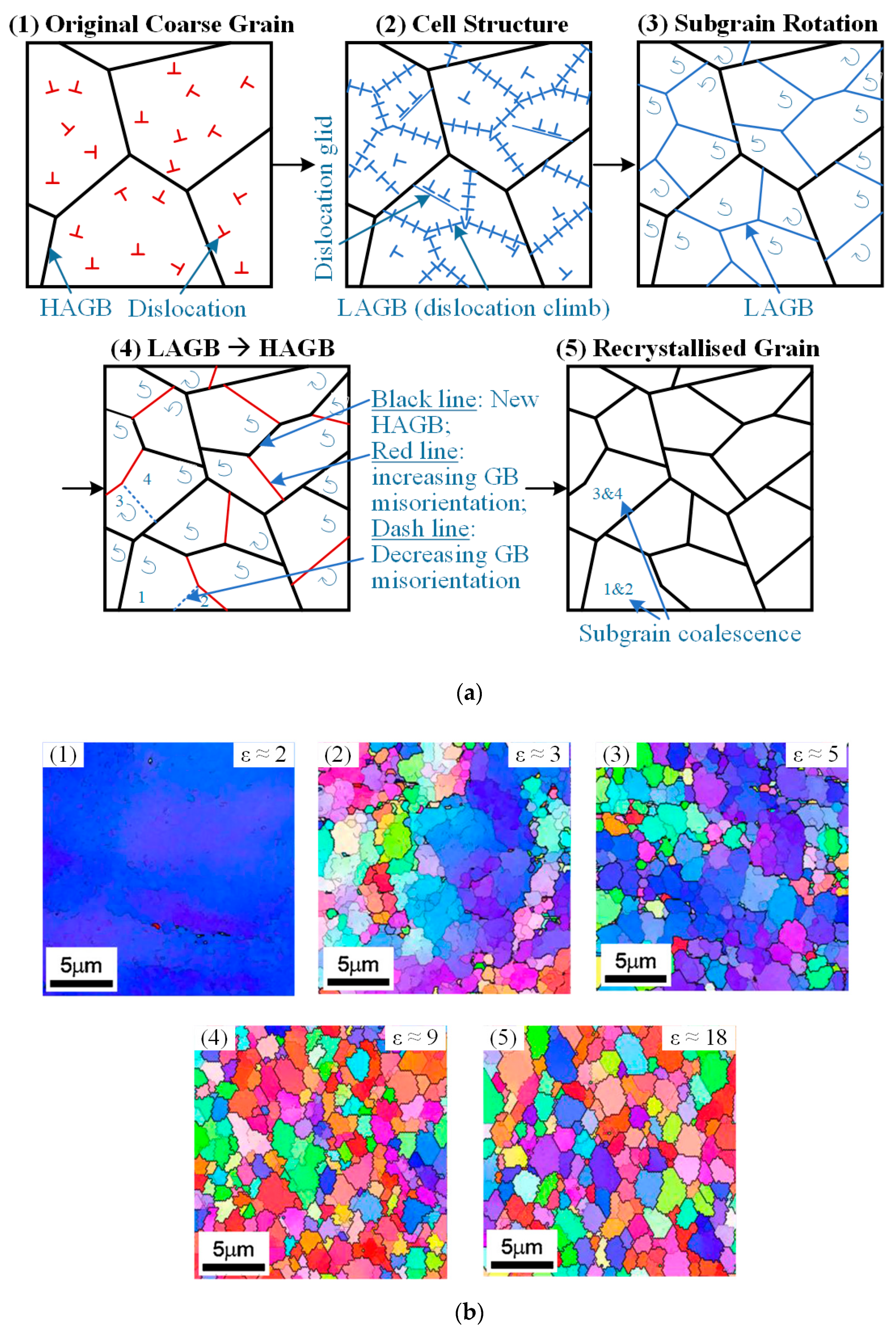 Metals 10 01516 g002