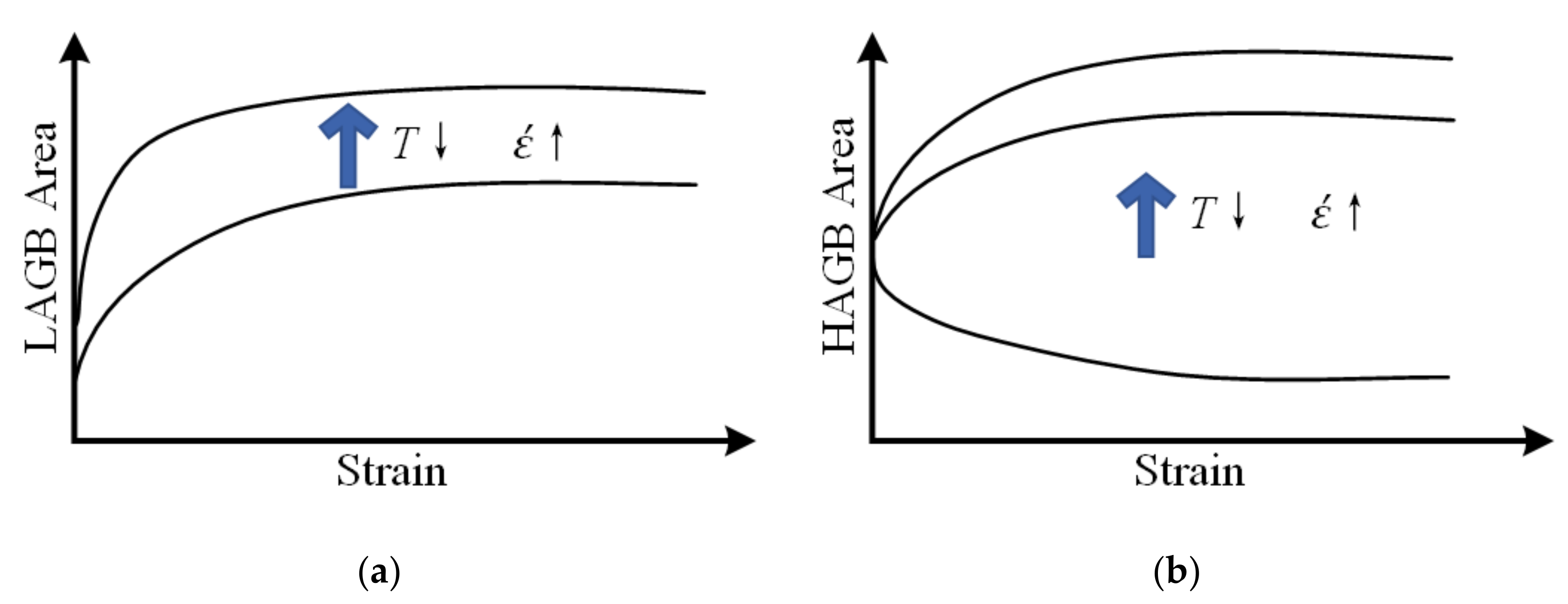 Metals 10 01516 g008