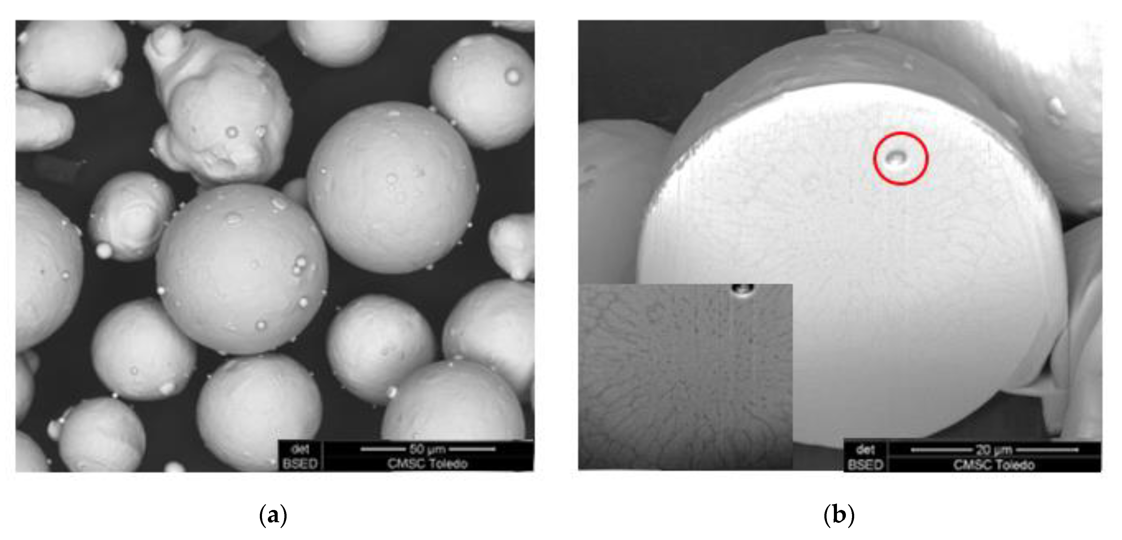 Metals 10 01522 g001 Metals 10 01522 g001