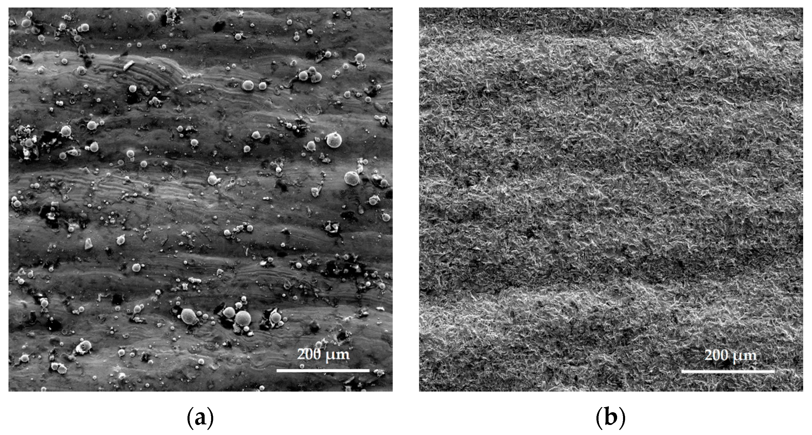 Metals 10 01540 g009