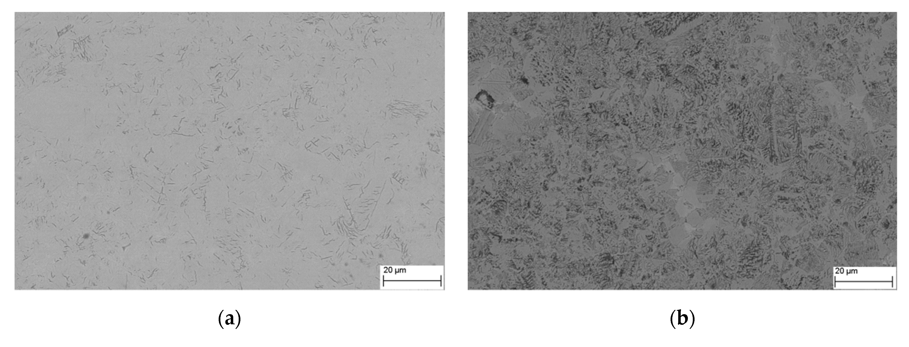 Metals 10 01577 g004a Metals 10 01577 g004a