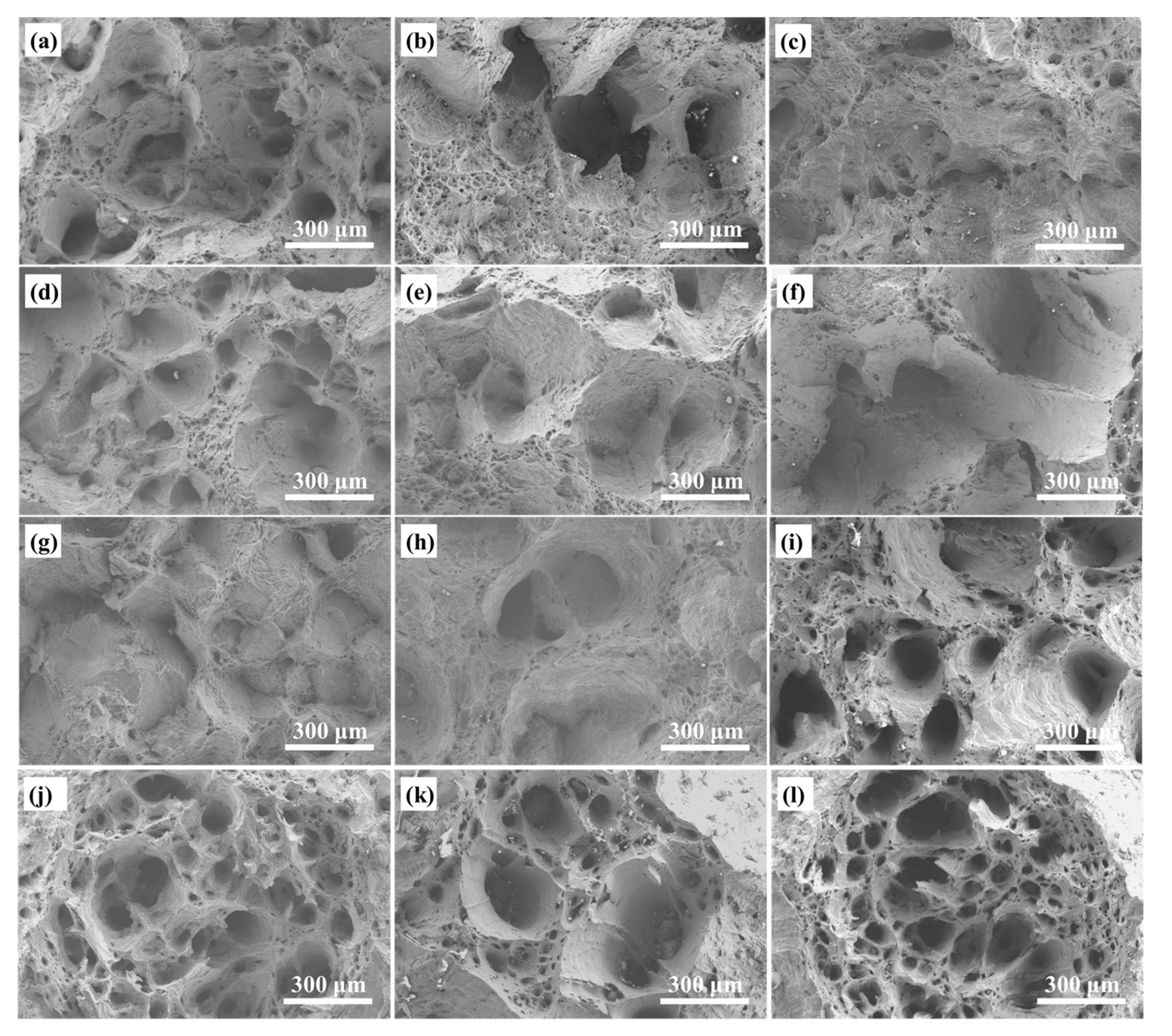 Metals 10 01598 g002 Metals 10 01598 g002