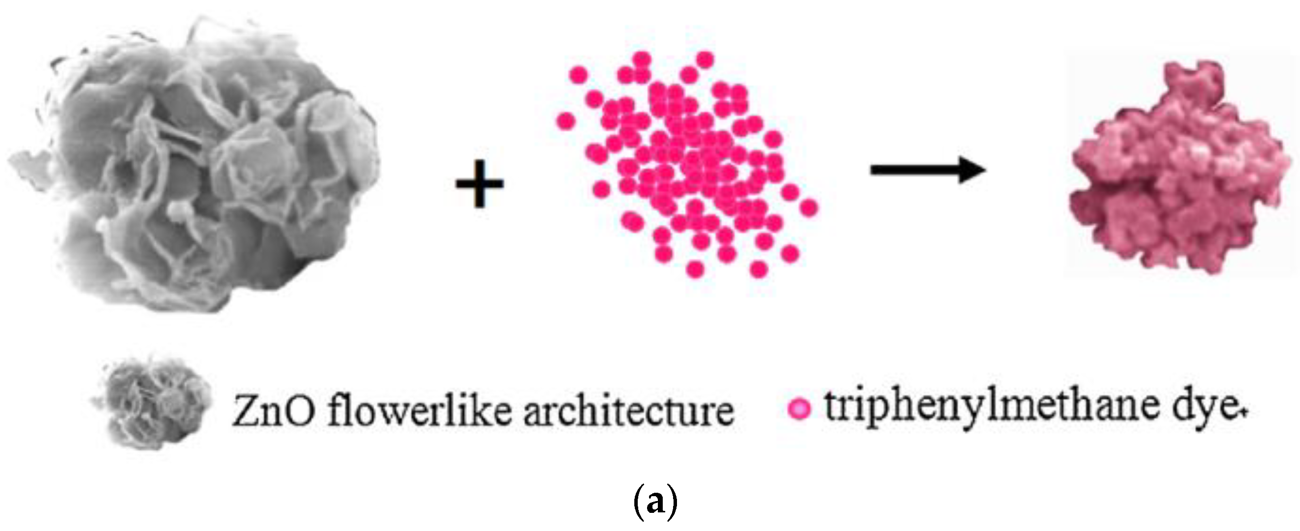 Metals 10 01604 g001a