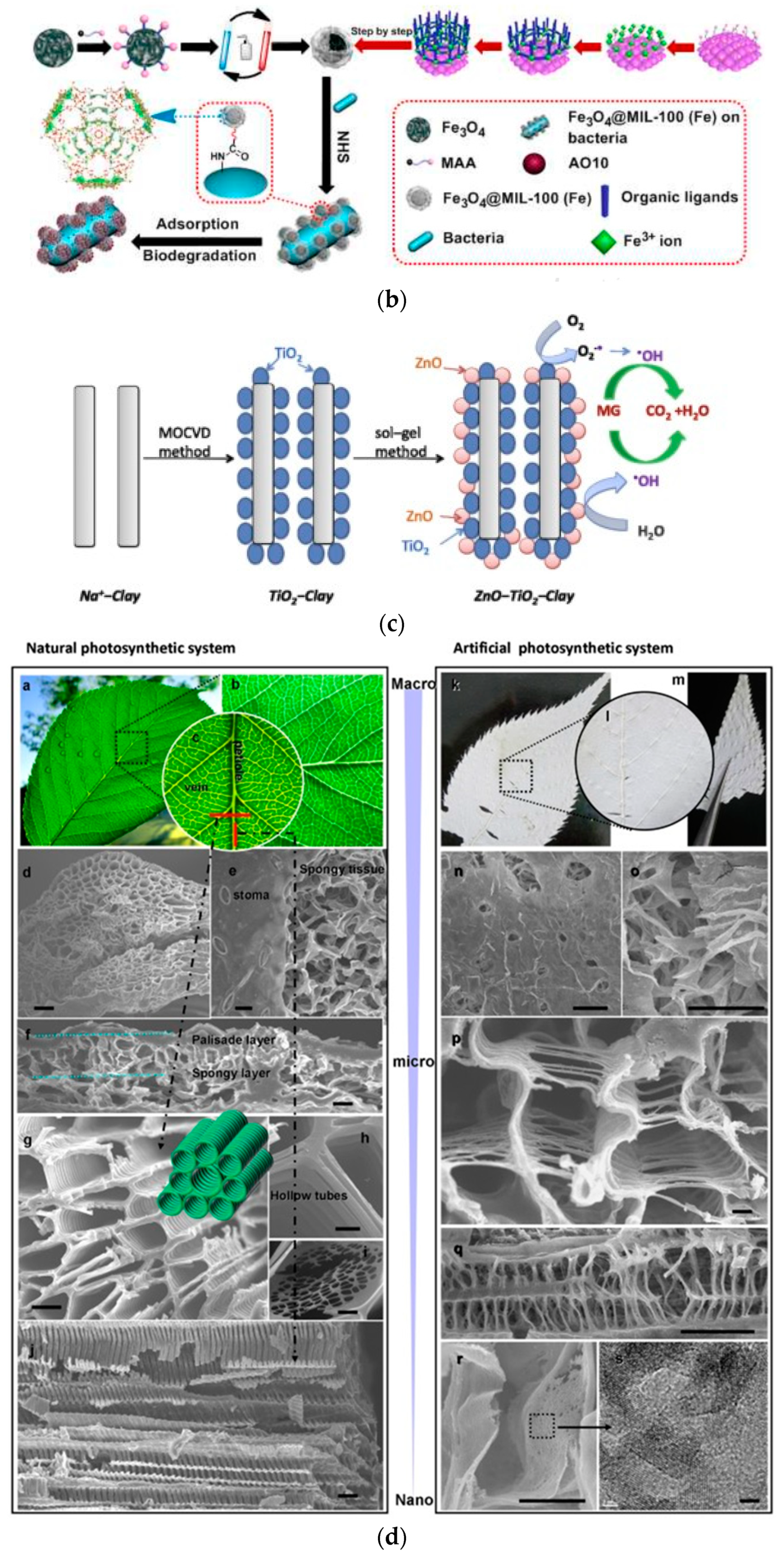 Metals 10 01604 g001b