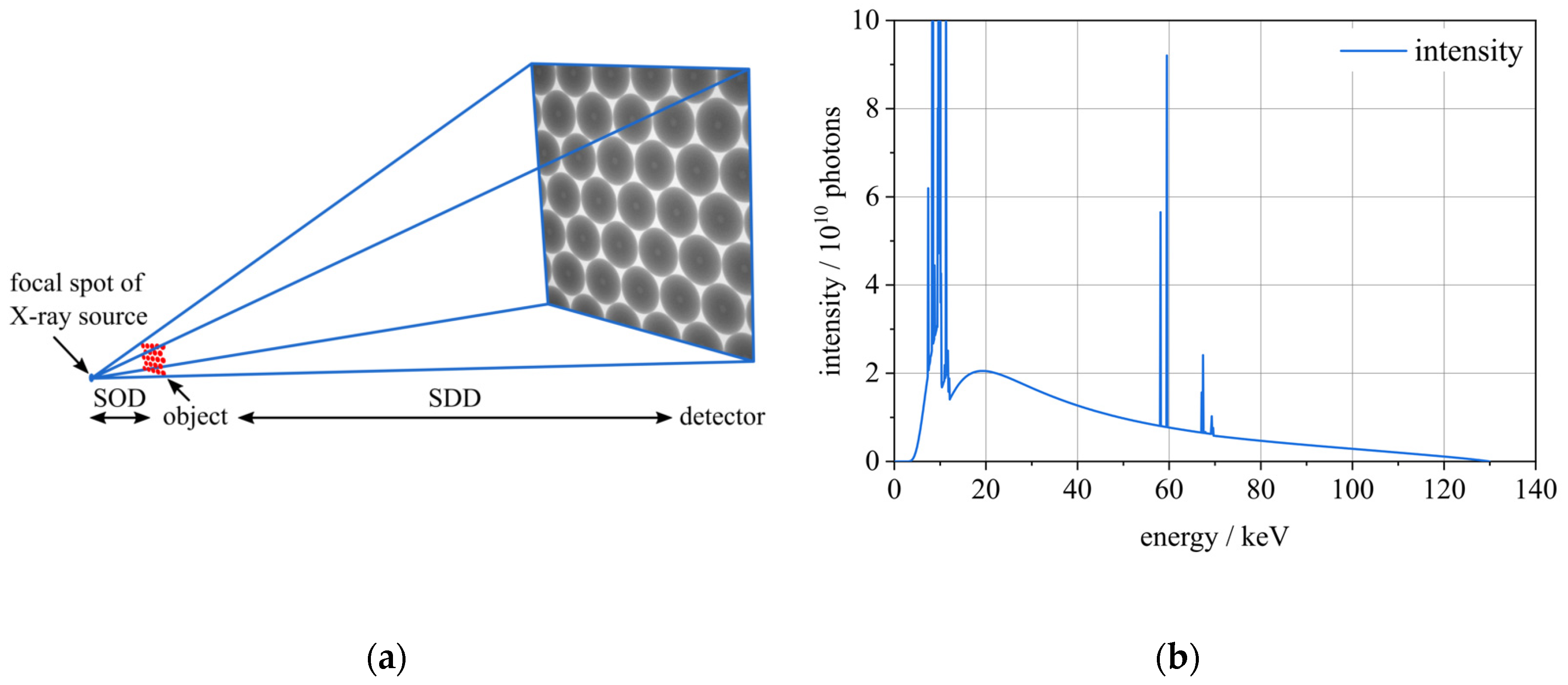 Metals 10 01634 g002
