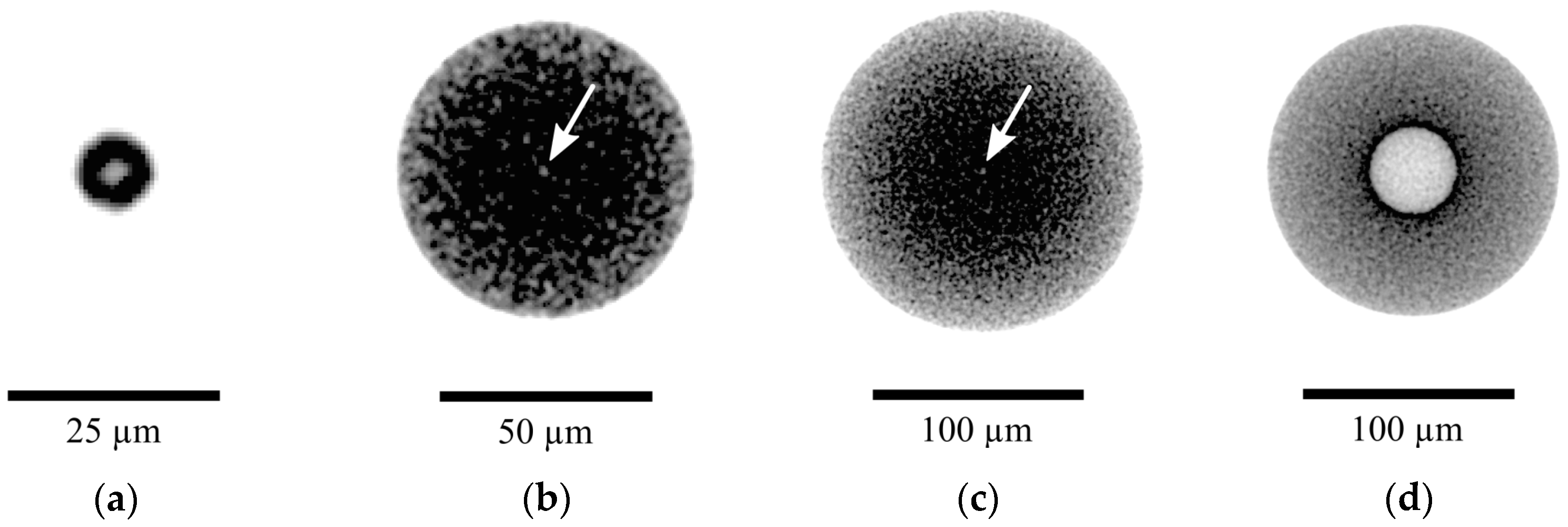 Metals 10 01634 g007