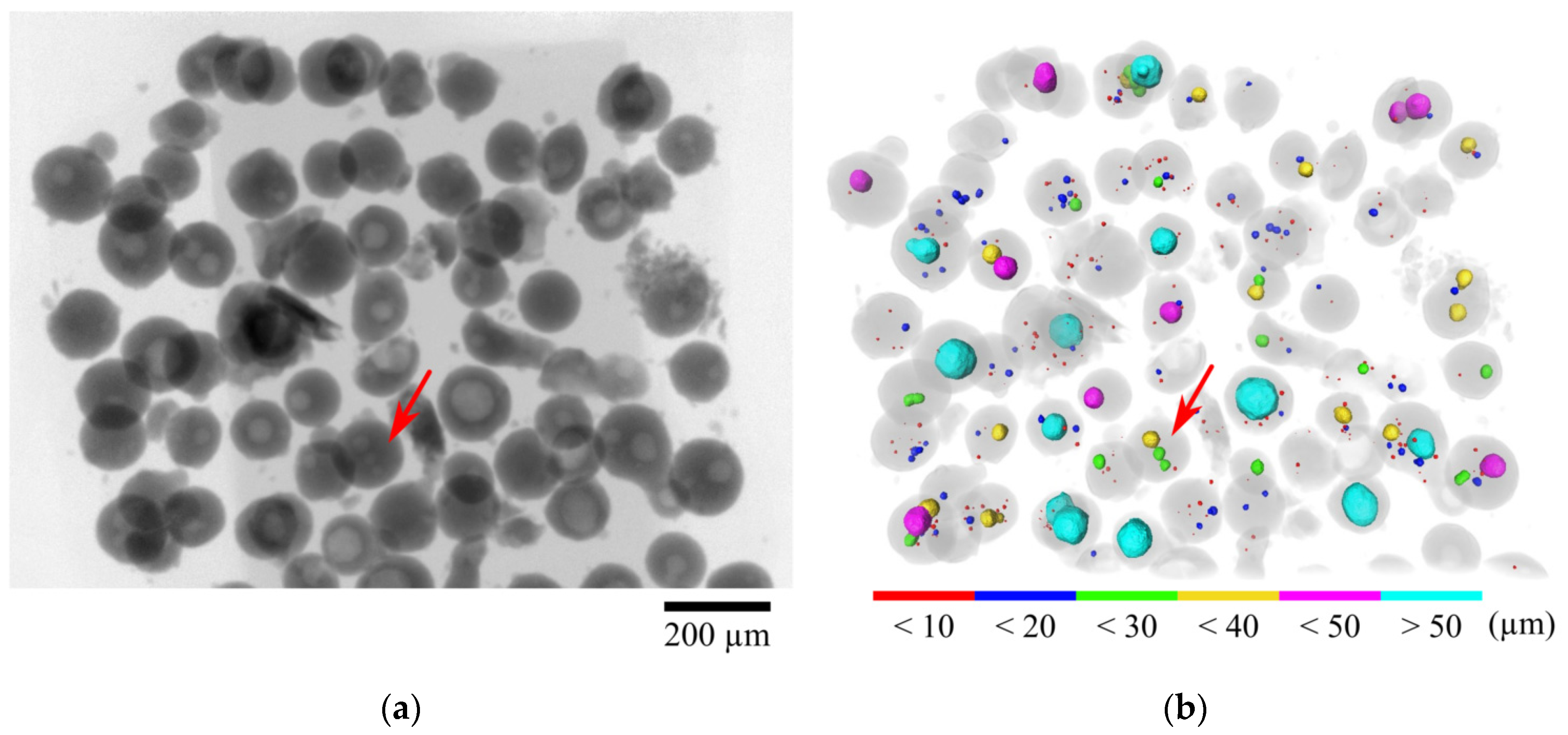 Metals 10 01634 g009