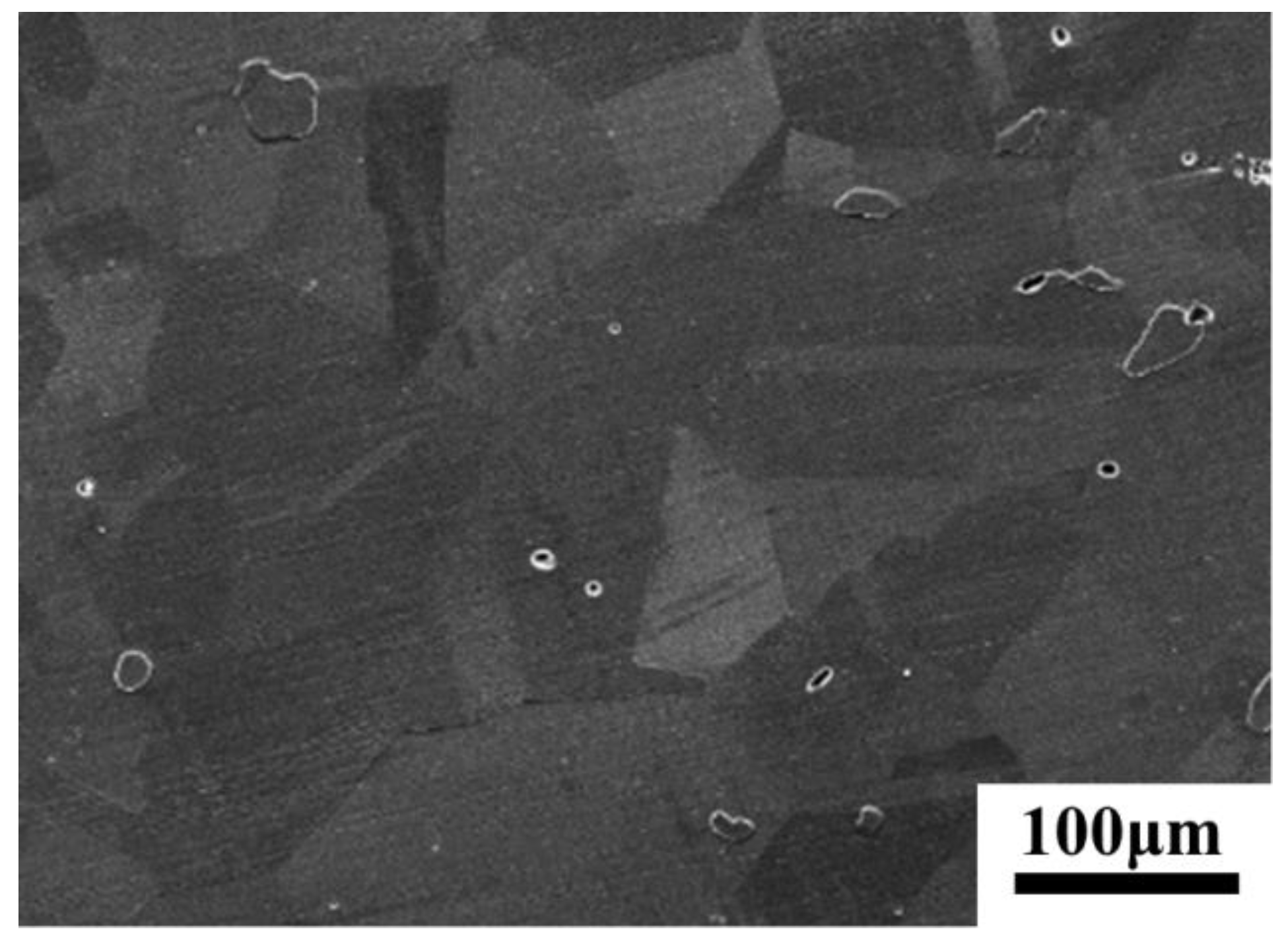 Metals 10 01691 g001 Metals 10 01691 g001