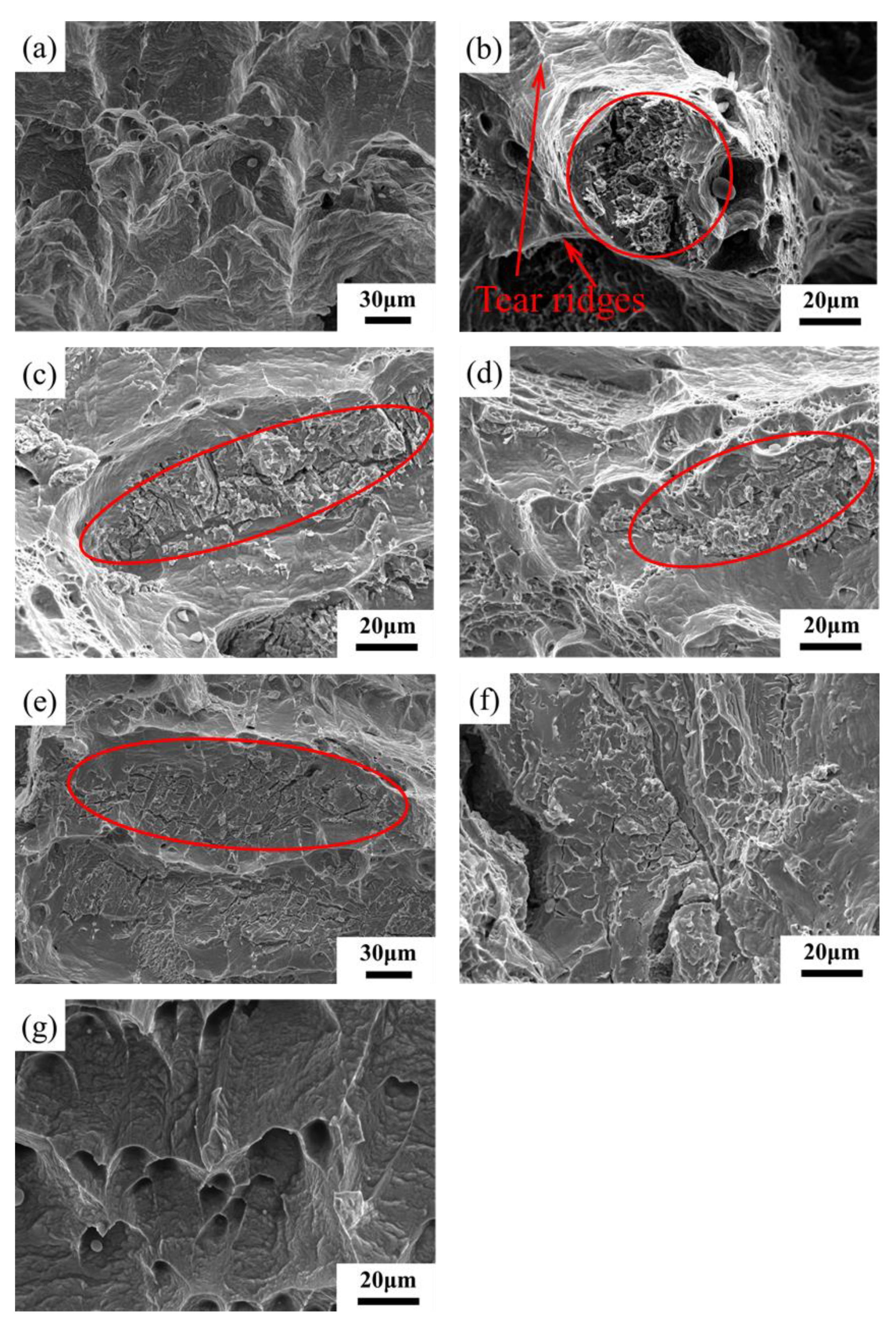 Metals 10 01691 g011 Metals 10 01691 g011