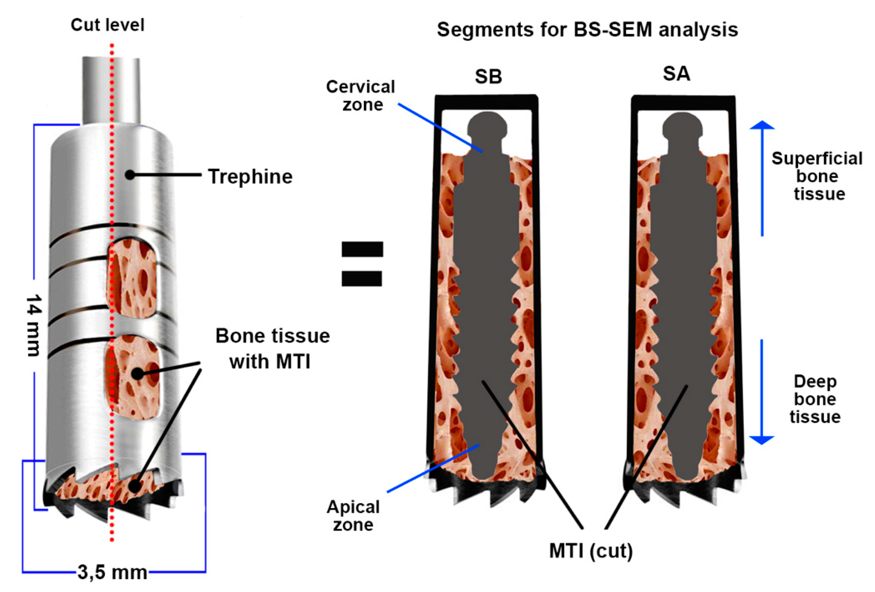 Metals 11 00002 g001