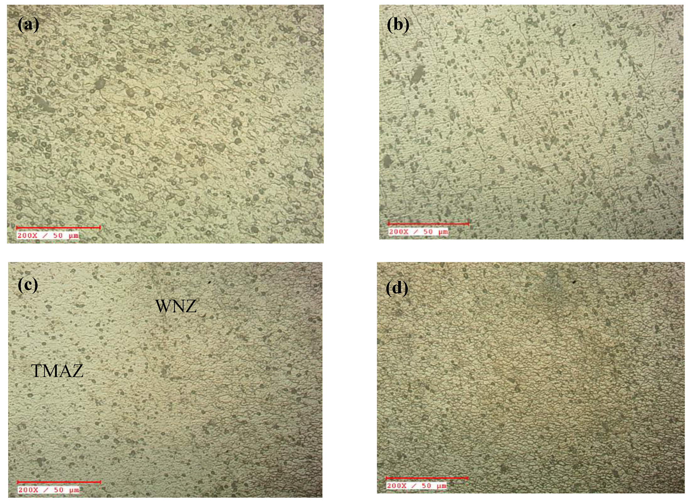 Metals 11 00016 g006