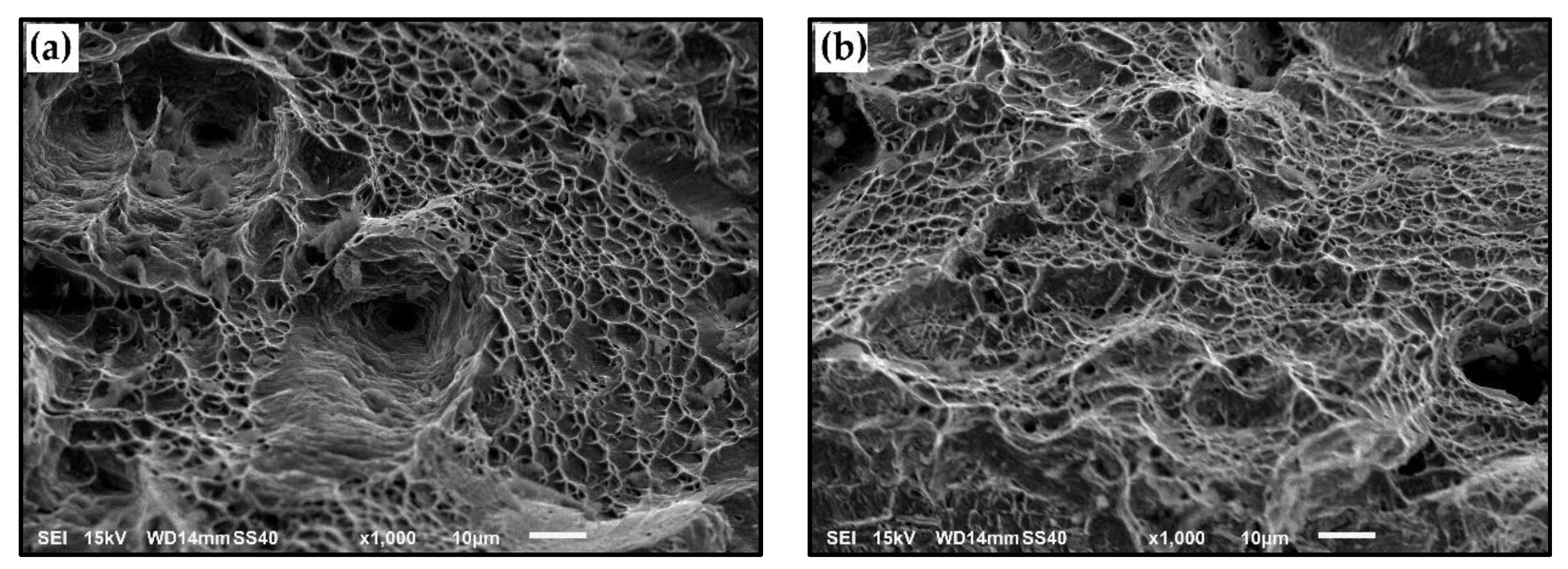 Metals 11 00024 g008a Metals 11 00024 g008a