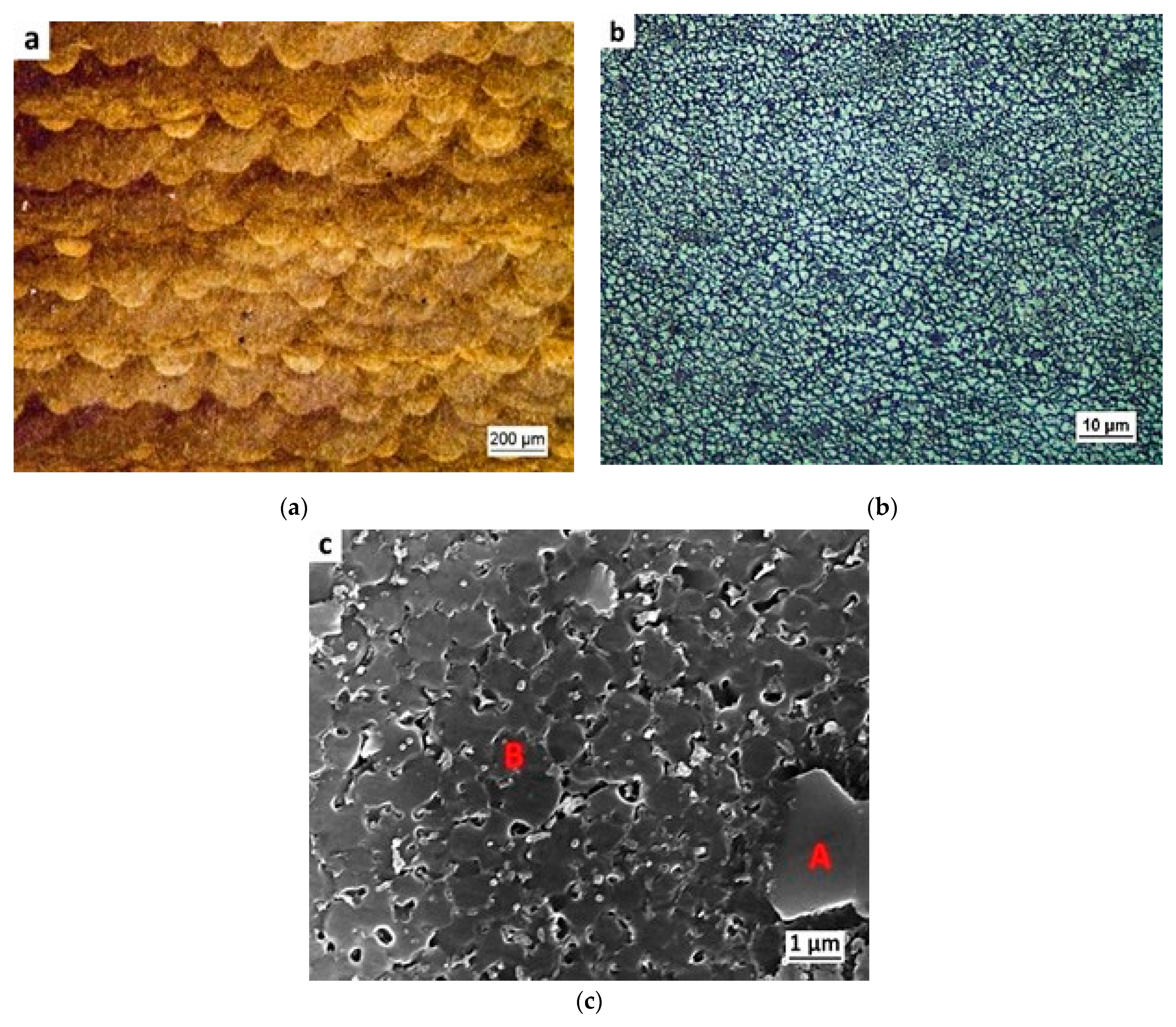 Metals 11 00035 g002 Metals 11 00035 g002