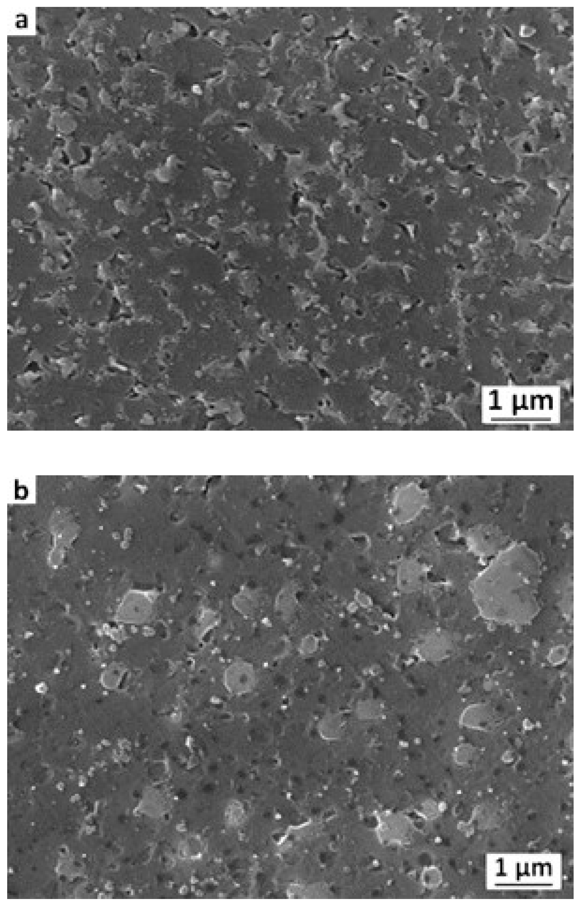 Metals 11 00035 g007 Metals 11 00035 g007