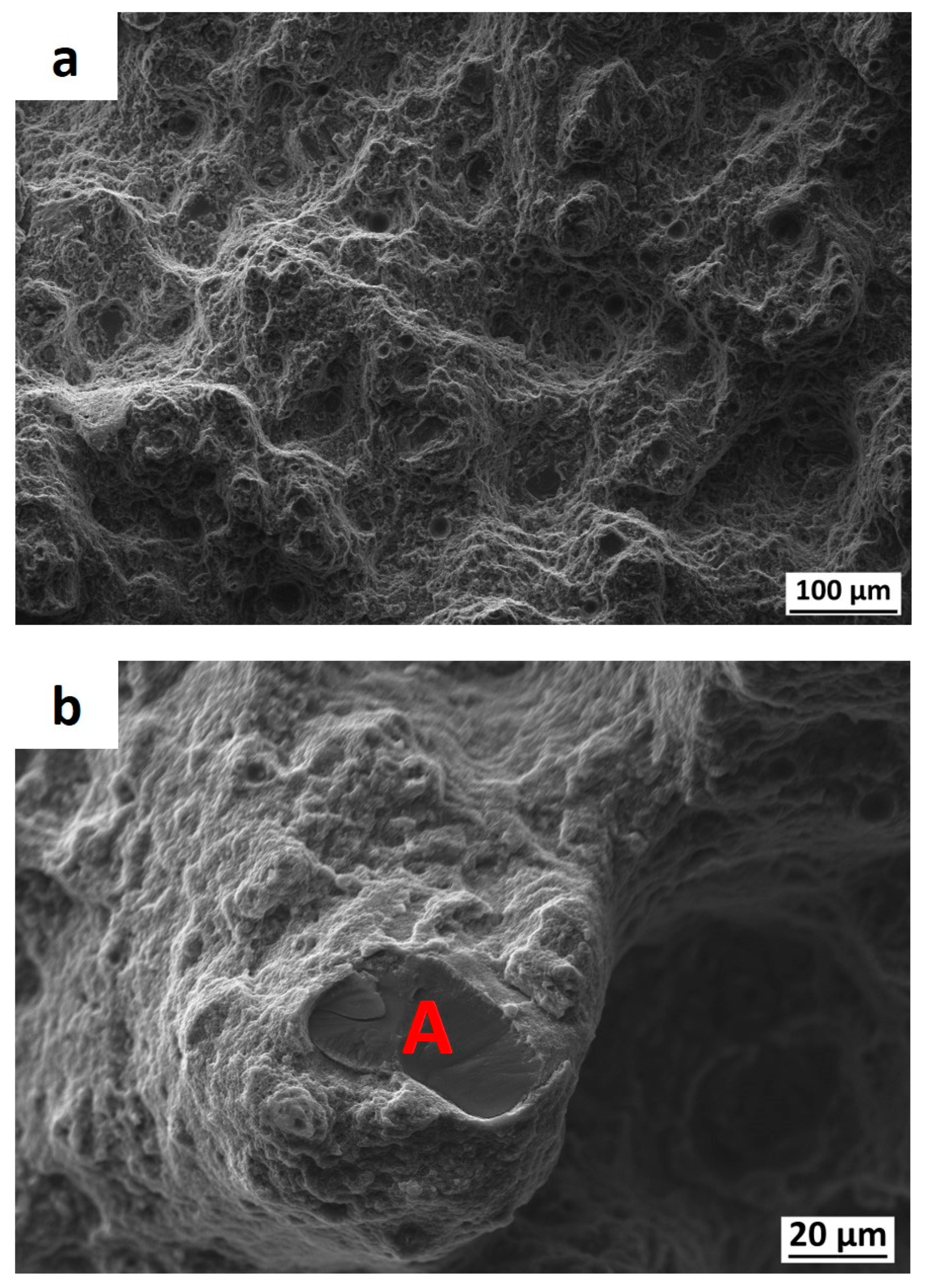 Metals 11 00035 g009 Metals 11 00035 g009