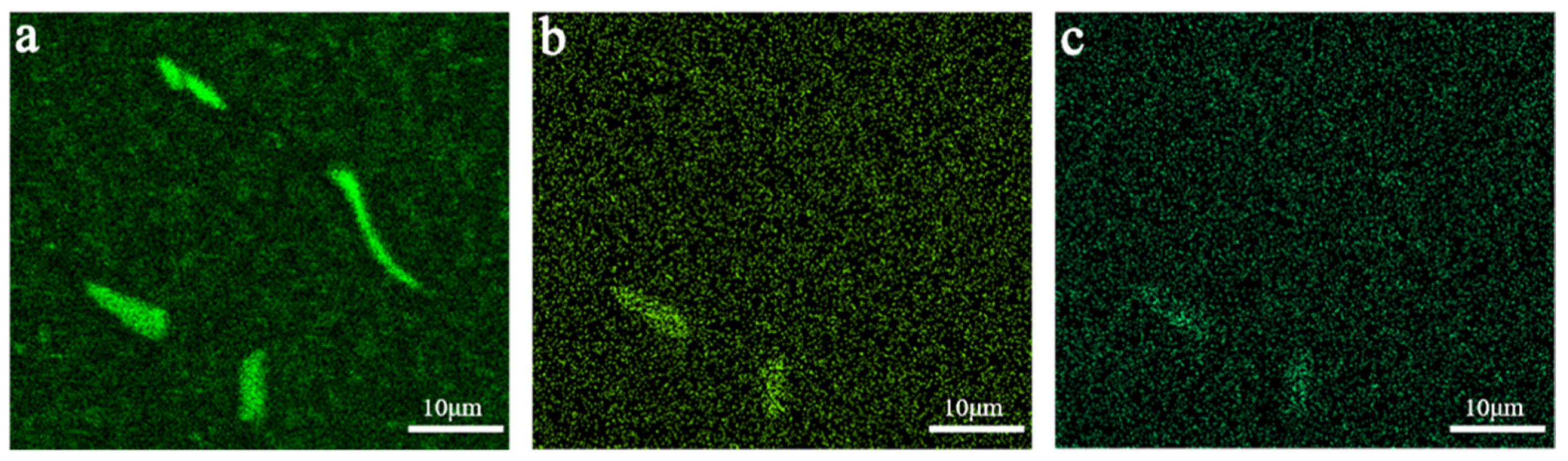 Metals 11 00037 g006 550