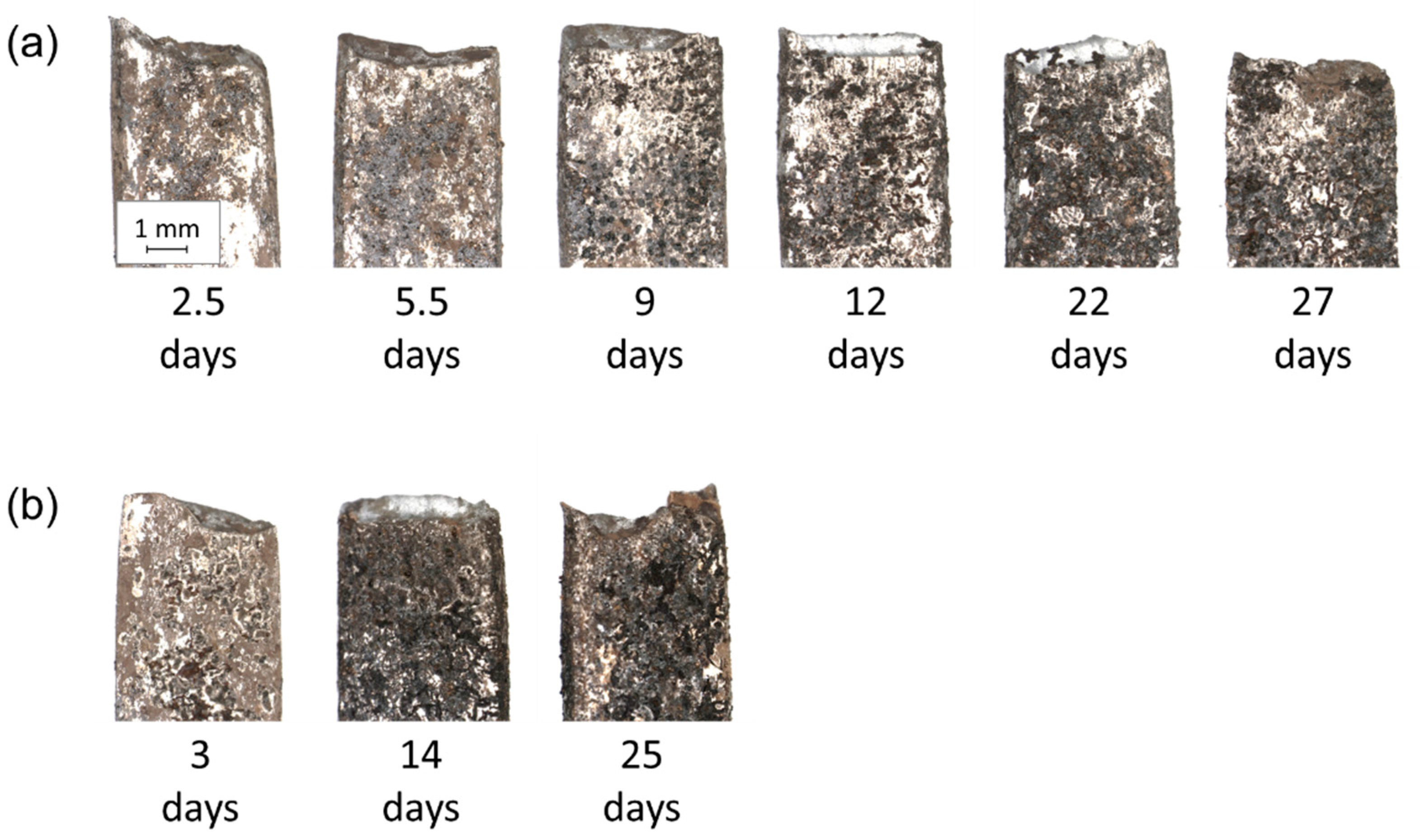 Metals 11 00044 g006 Metals 11 00044 g006