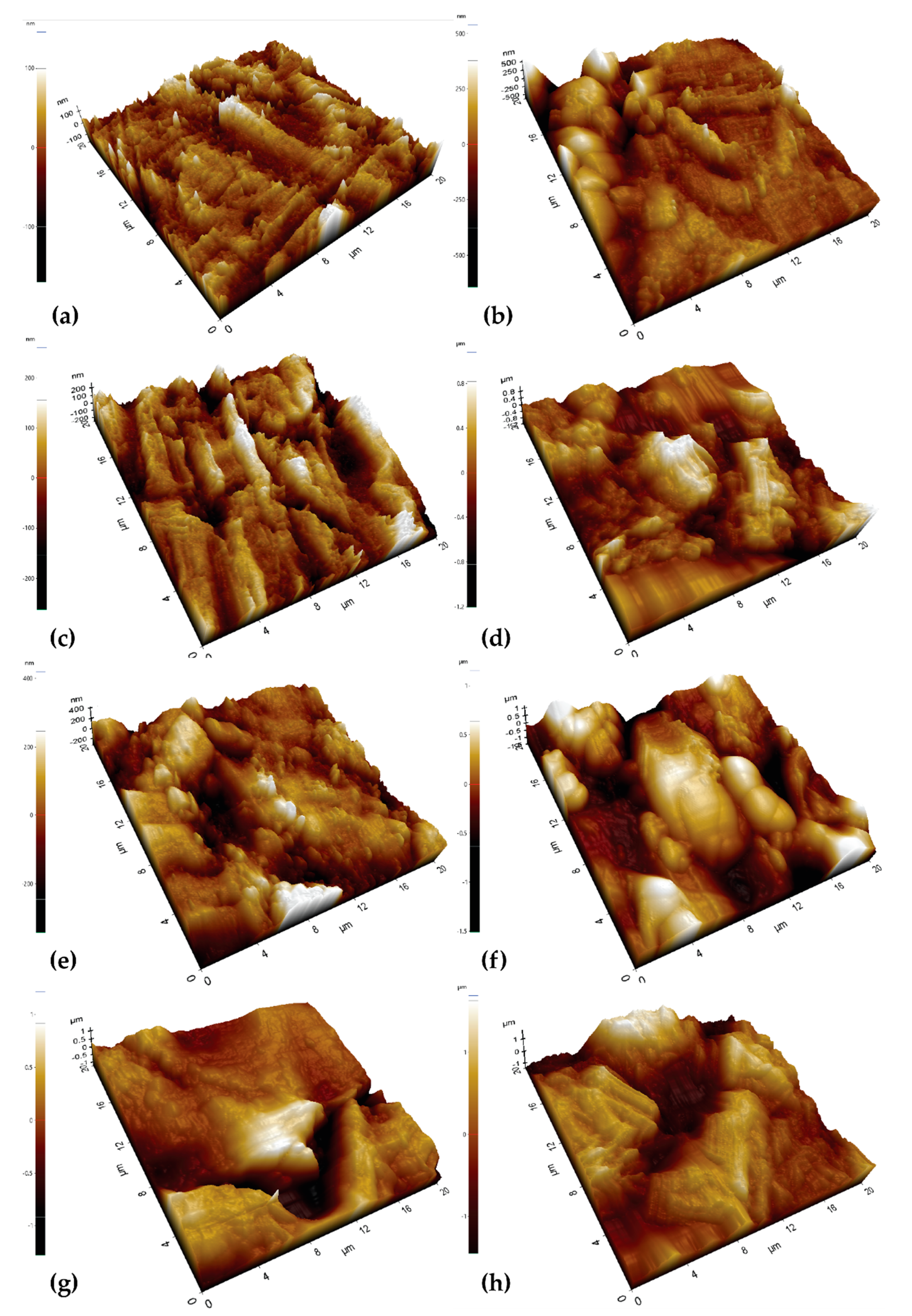Metals 11 00057 g012 Metals 11 00057 g012