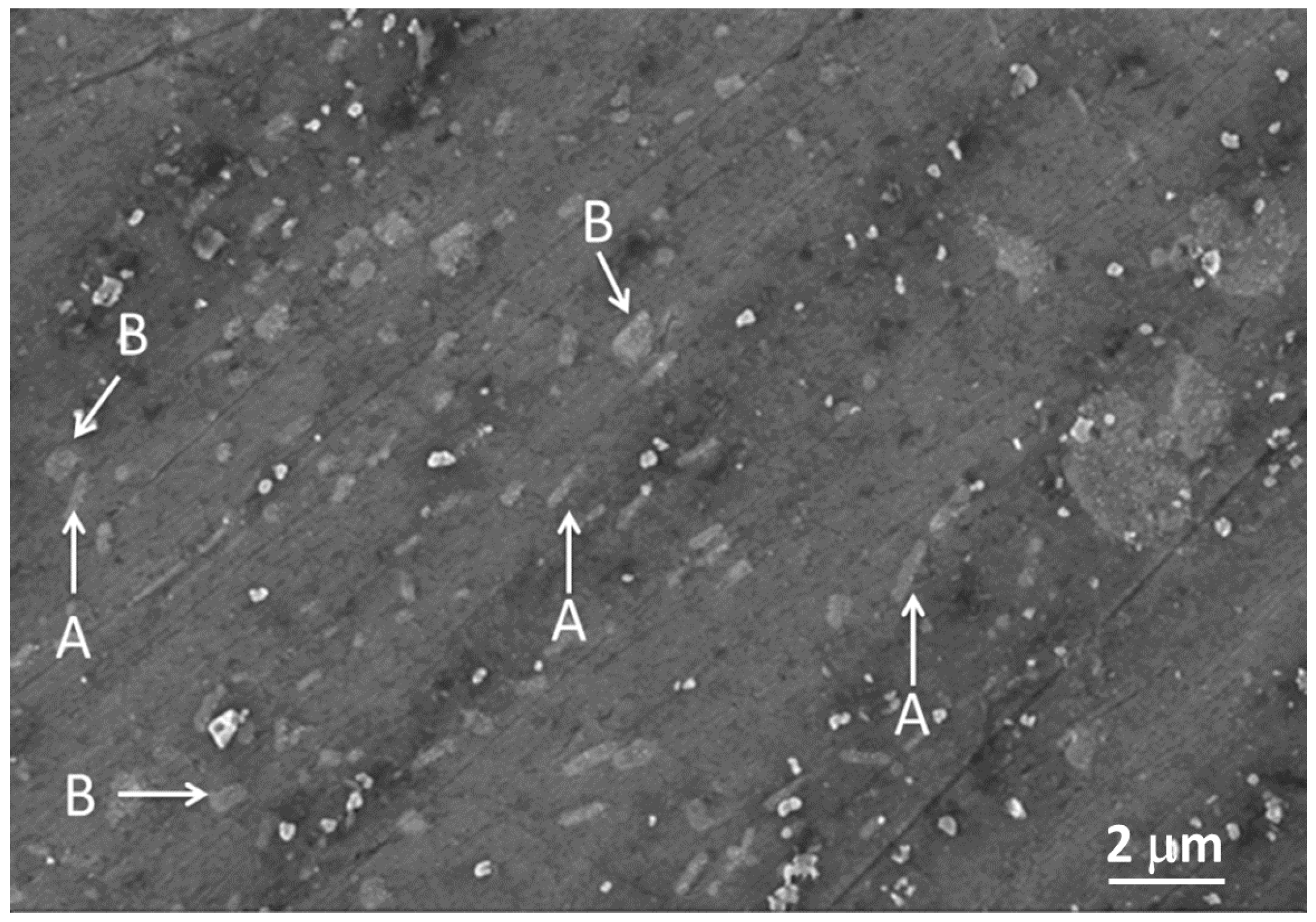 Metals 11 00062 g006 Metals 11 00062 g006