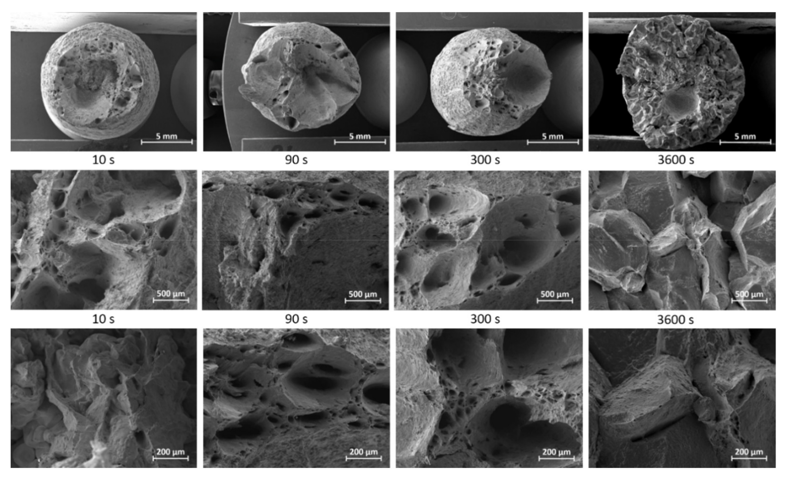 Metals 11 00064 g009