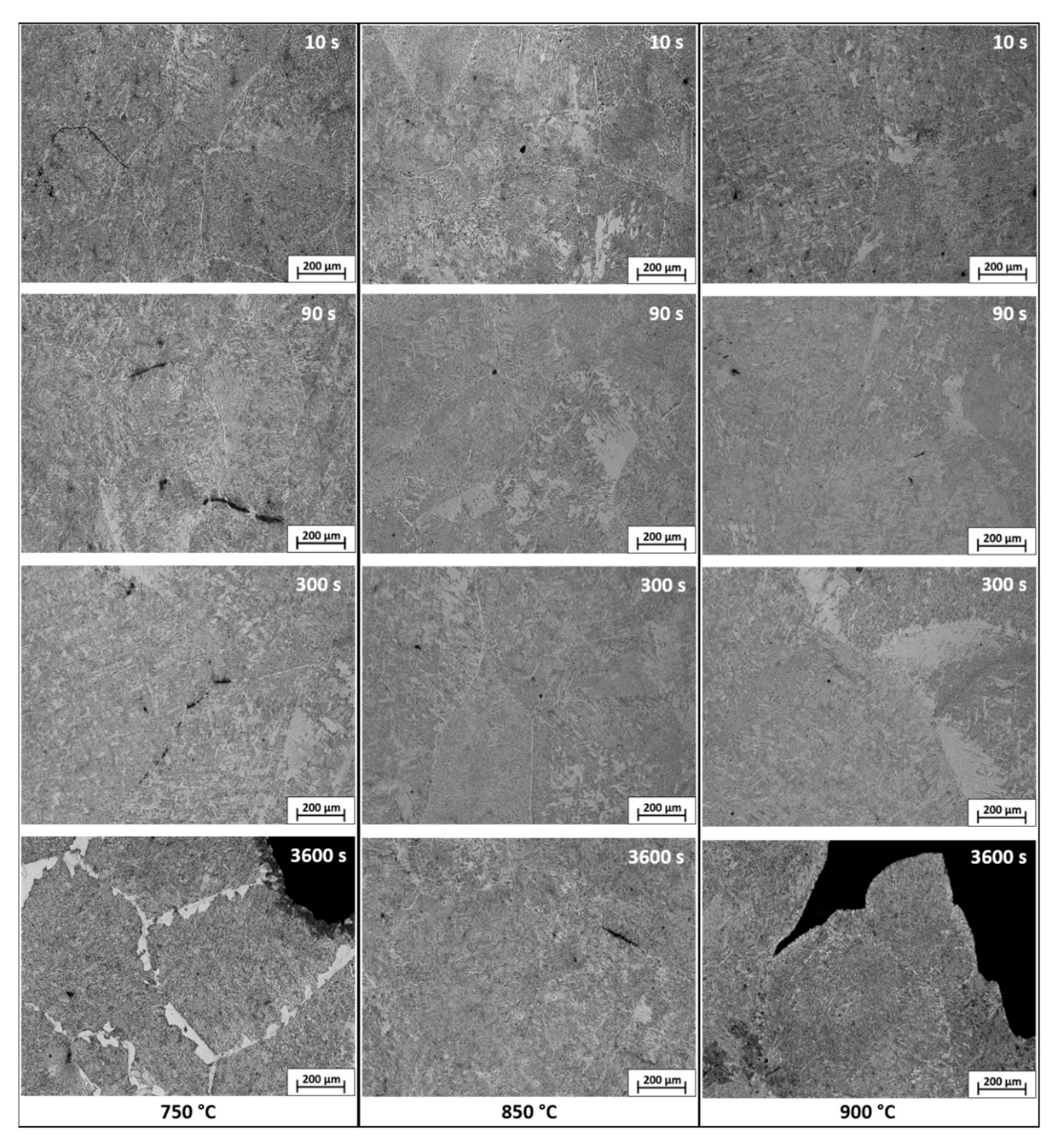 Metals 11 00064 g010