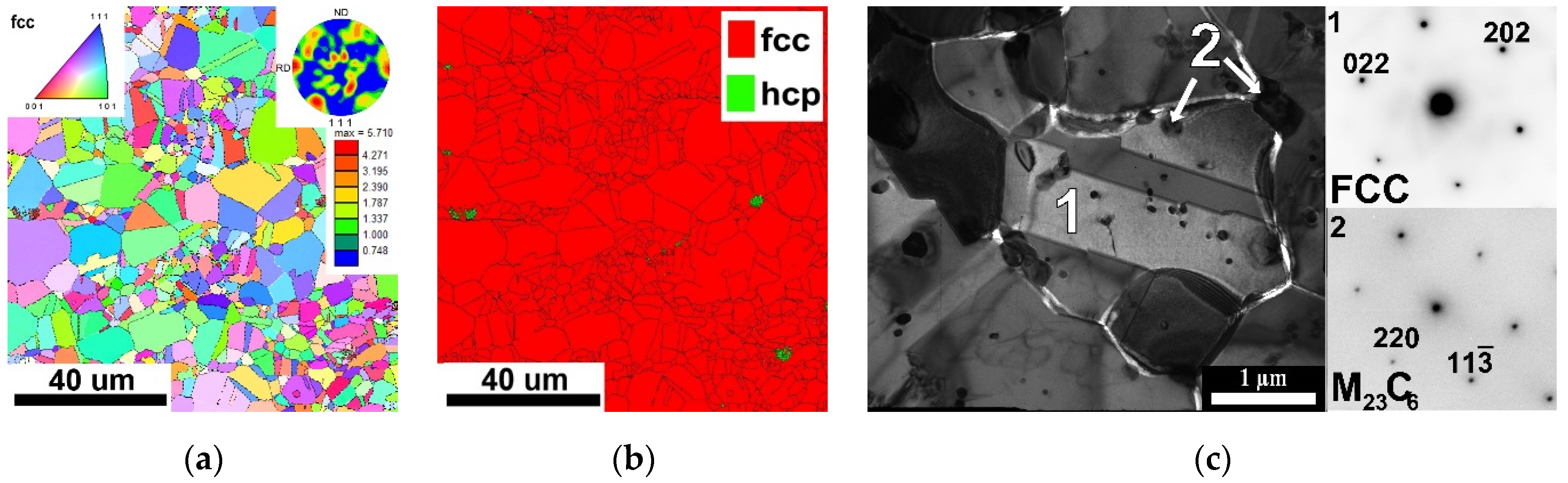 Metals 11 00066 g002 Metals 11 00066 g002