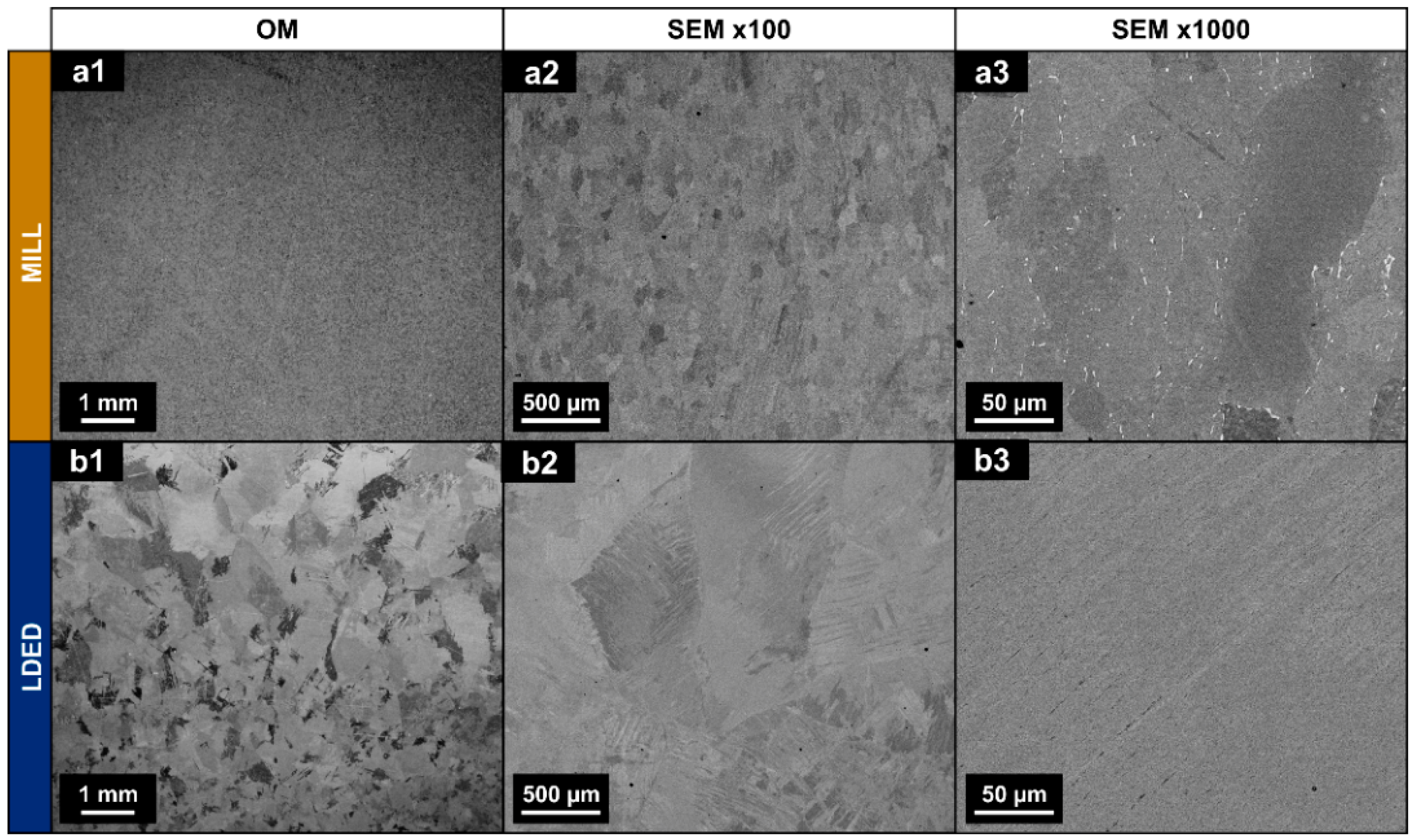 Metals 11 00070 g003