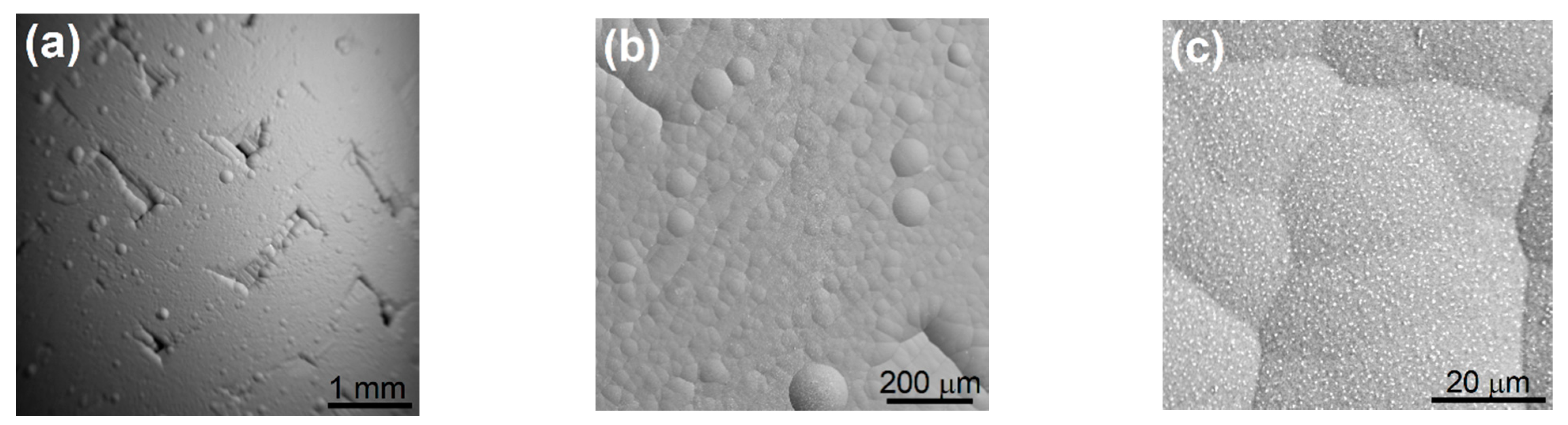 Metals 11 00076 g005 Metals 11 00076 g005