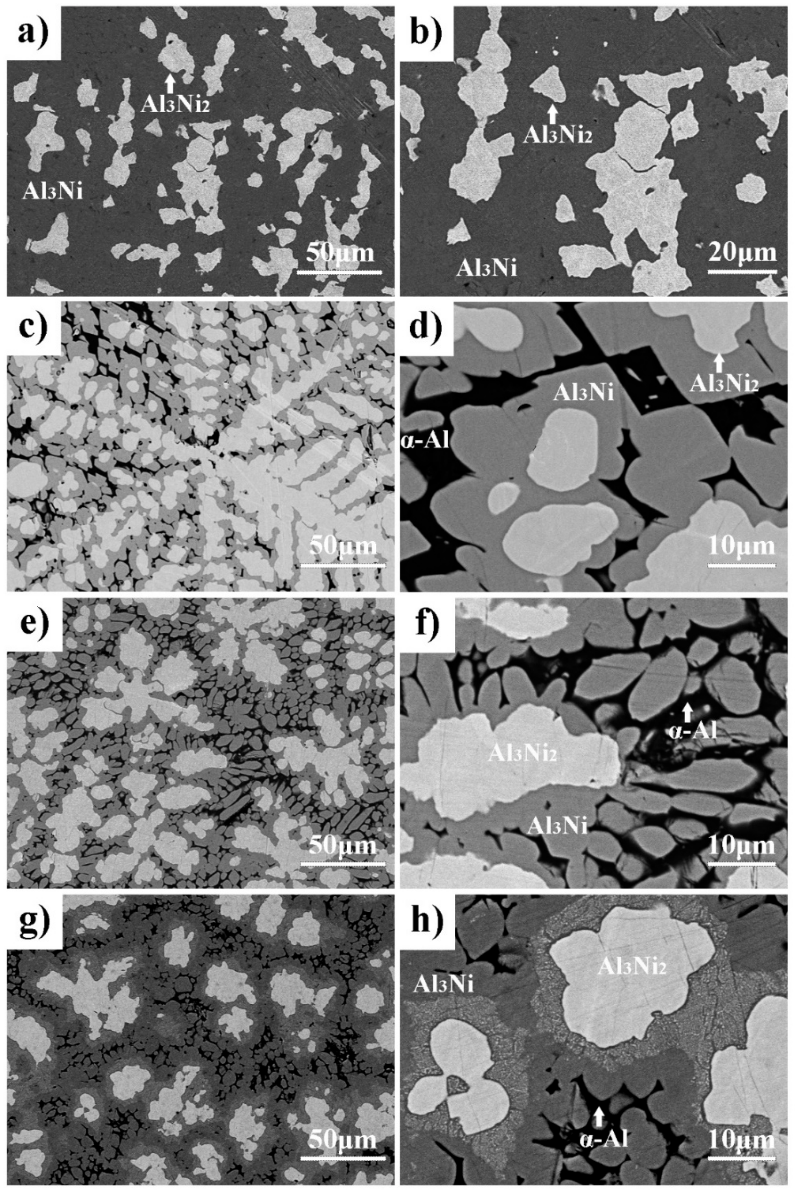 Metals 11 00084 g003 Metals 11 00084 g003