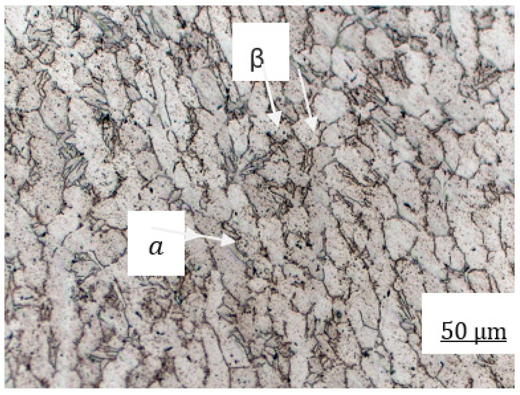 Metals 11 00088 g002 Metals 11 00088 g002