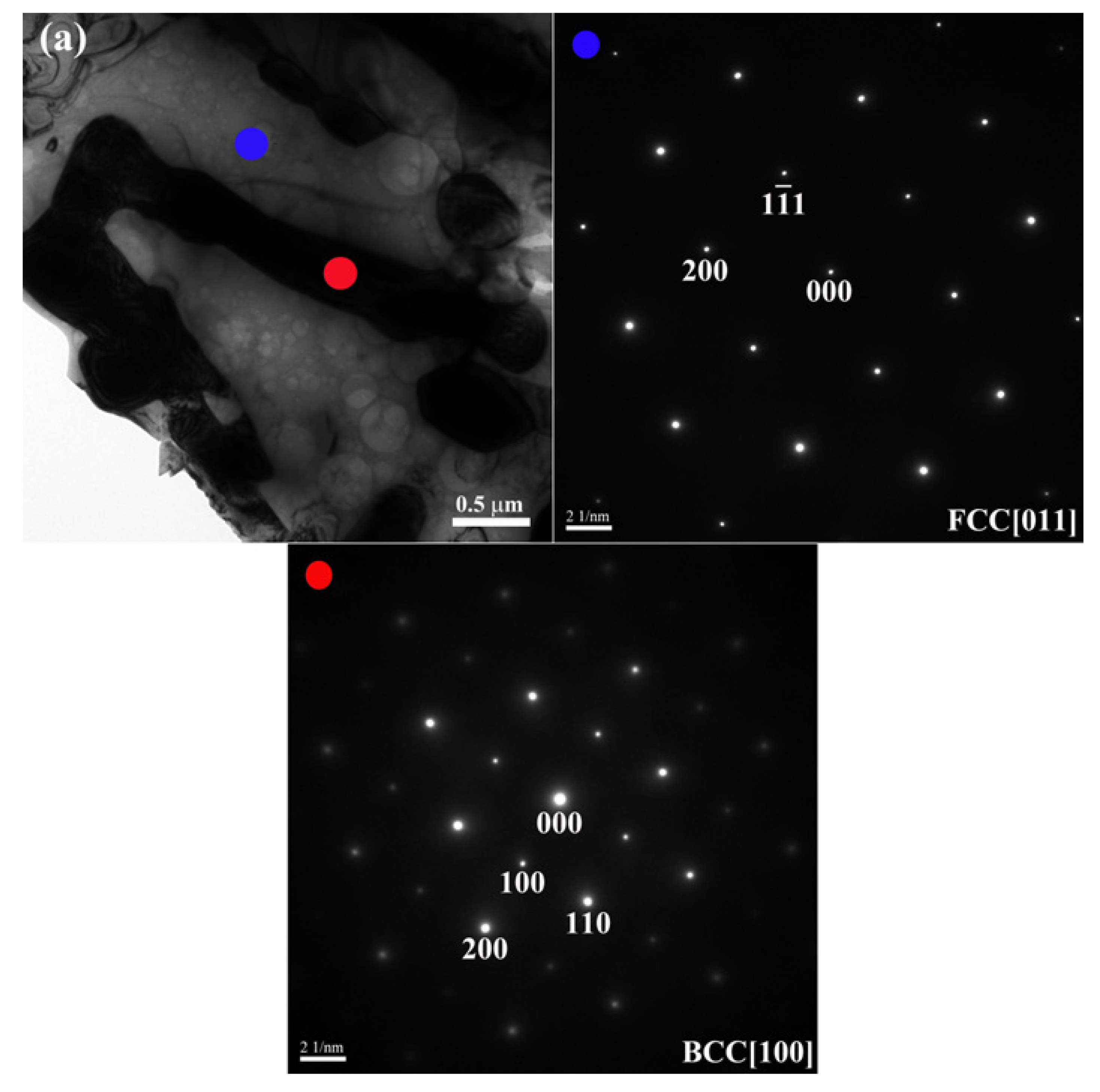 Metals 11 00091 g004a Metals 11 00091 g004a