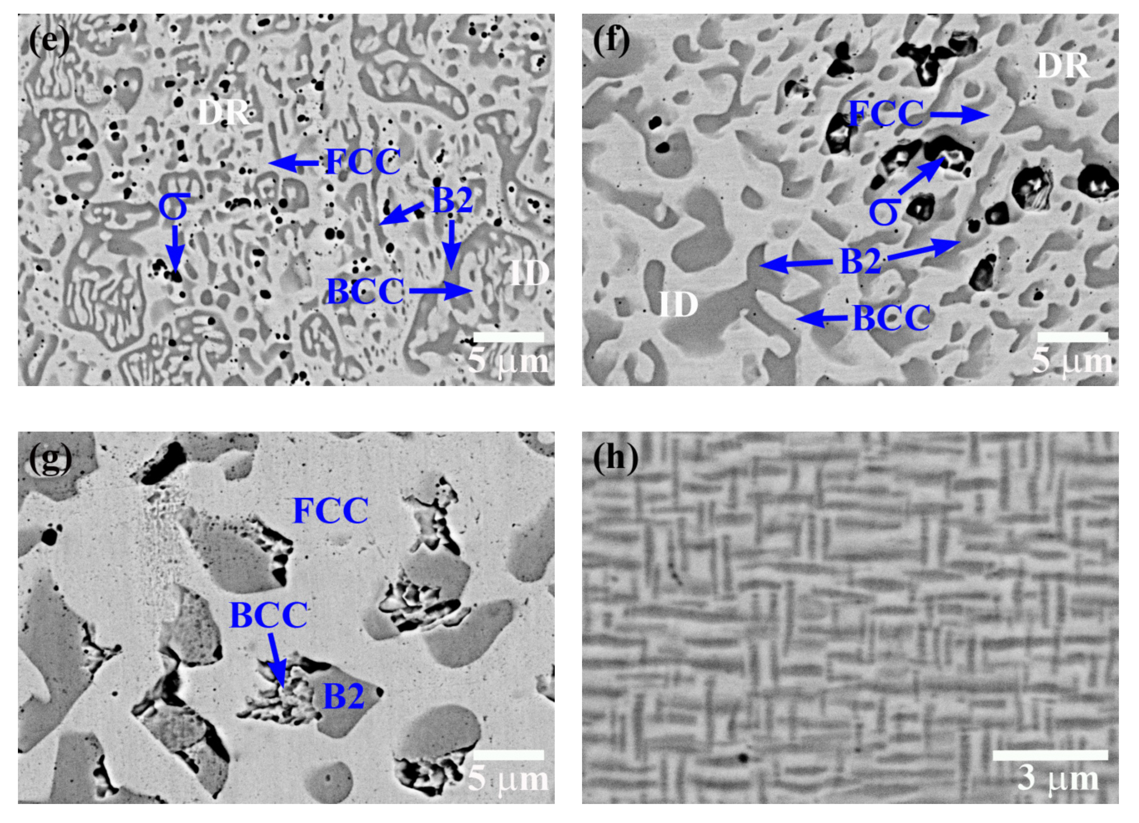 Metals 11 00091 g005b Metals 11 00091 g005b