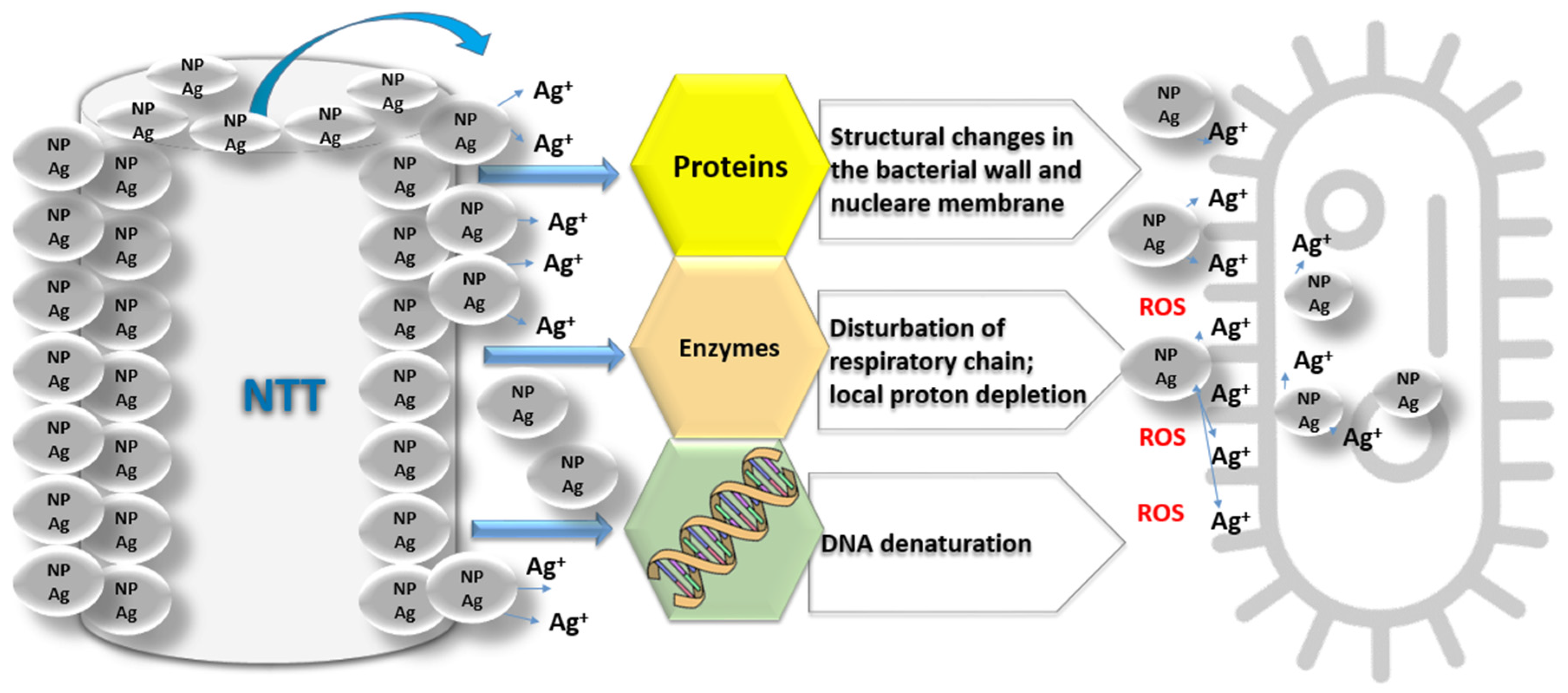 Metals 11 00092 g001 Metals 11 00092 g001